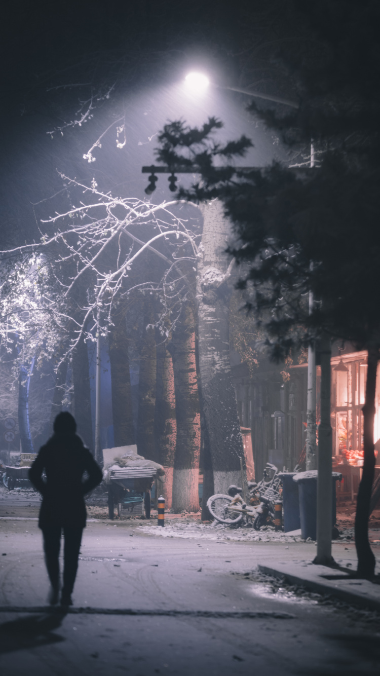 Обои темнота, дерево, ночь, свет, атмосфера в разрешении 750x1334