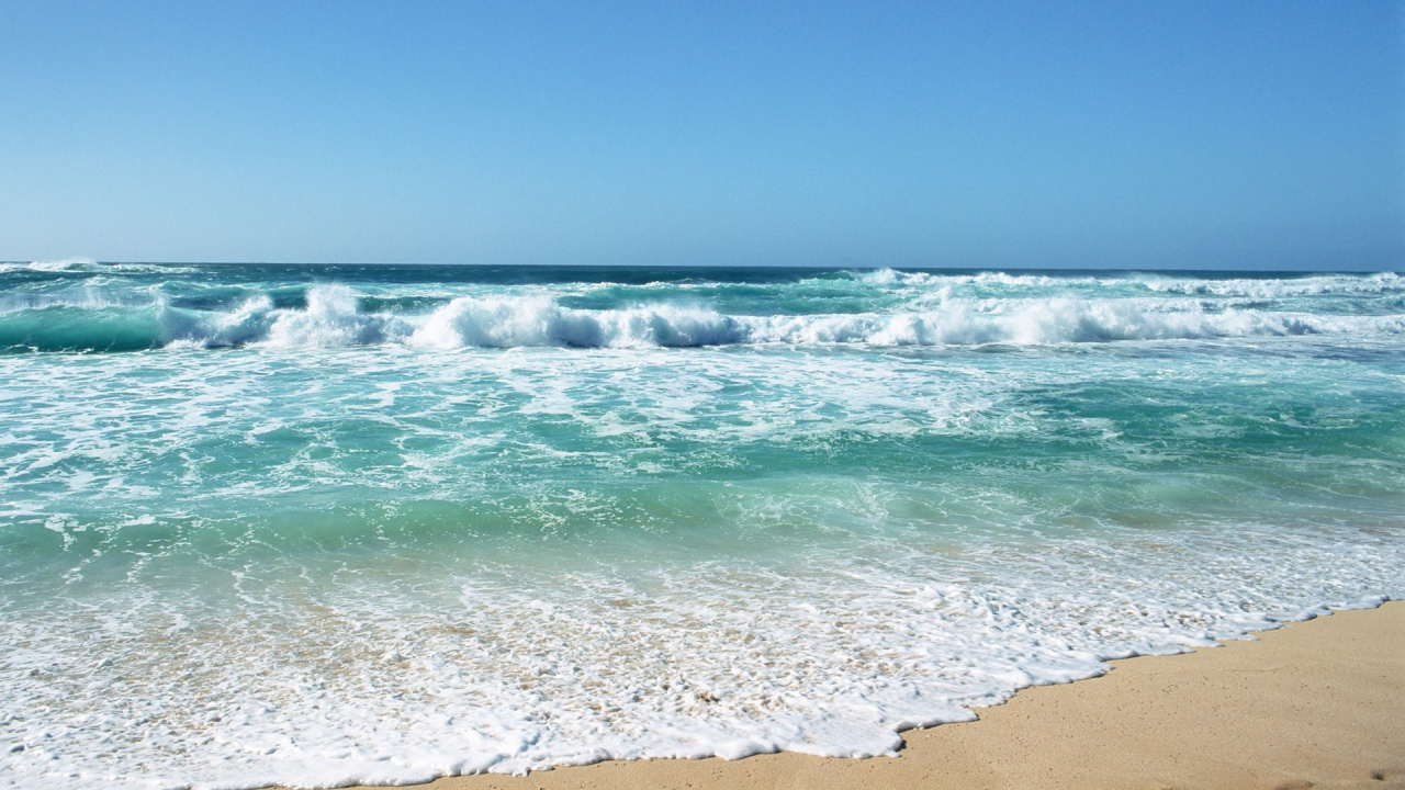 Обои пляж, волна, водоем, море, океан в разрешении 1280x720