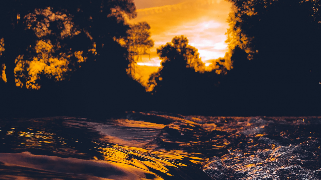 Обои дерево, вода, силуэт, послесвечение, природа в разрешении 1366x768