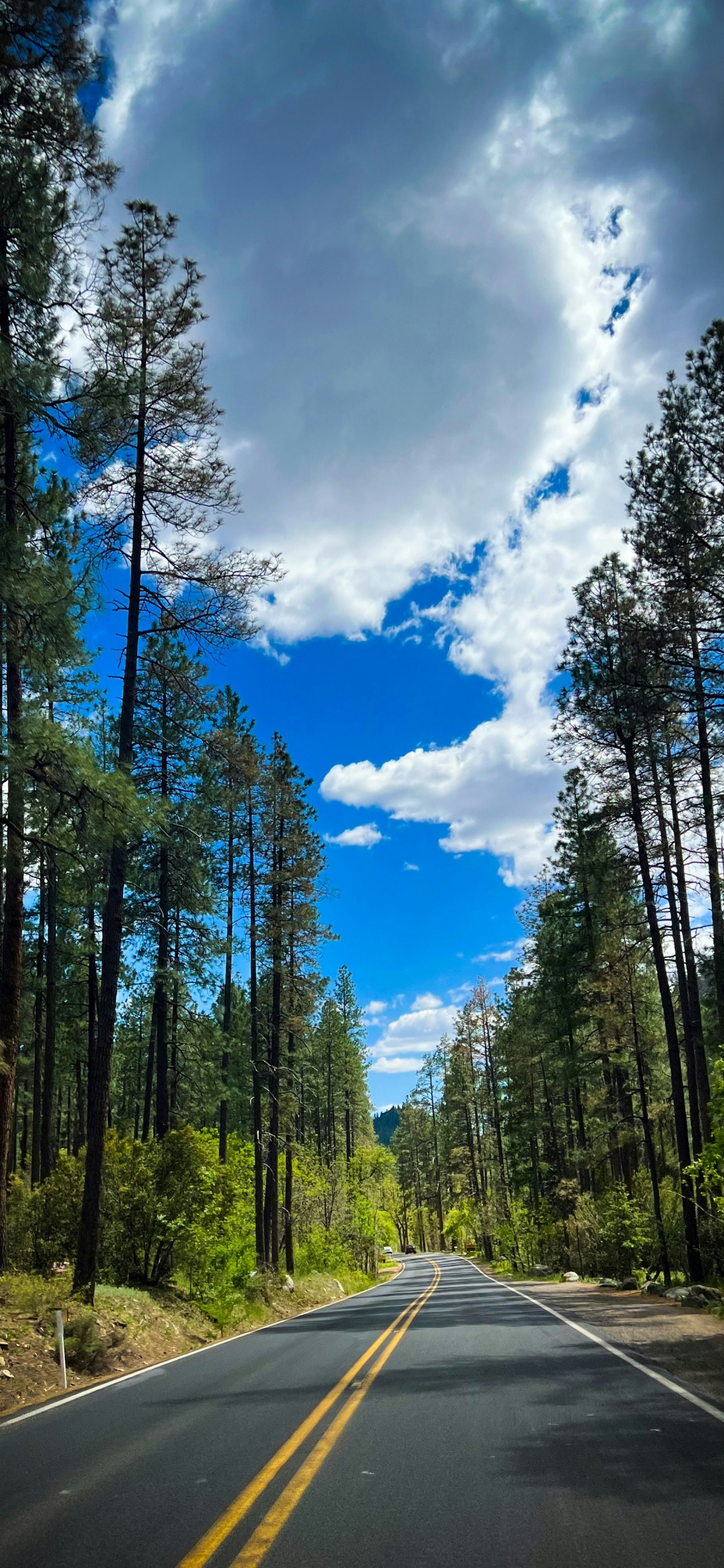 Обои автострада, дорога, бесплатно, Филадельфийская автострада, Рок Нация в разрешении 1125x2436