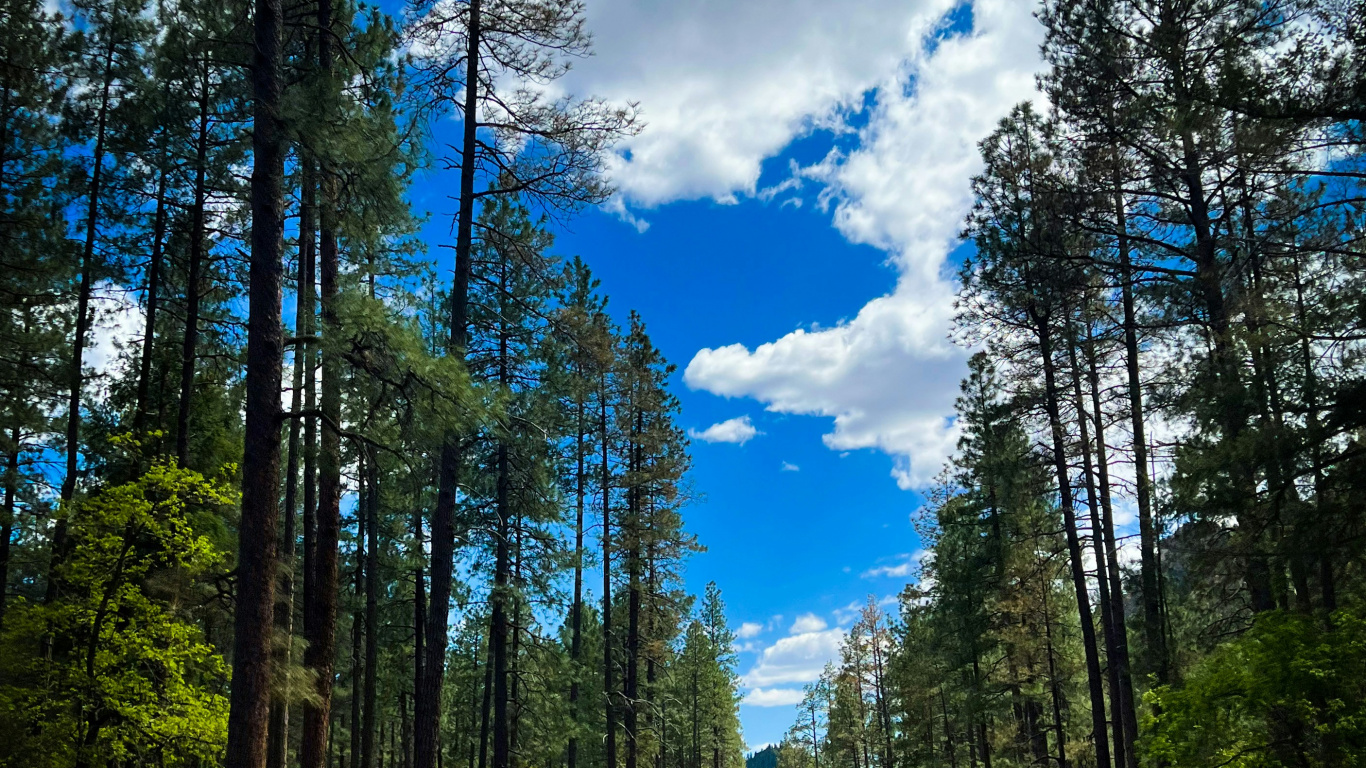 Обои автострада, дорога, бесплатно, Филадельфийская автострада, Рок Нация в разрешении 1366x768