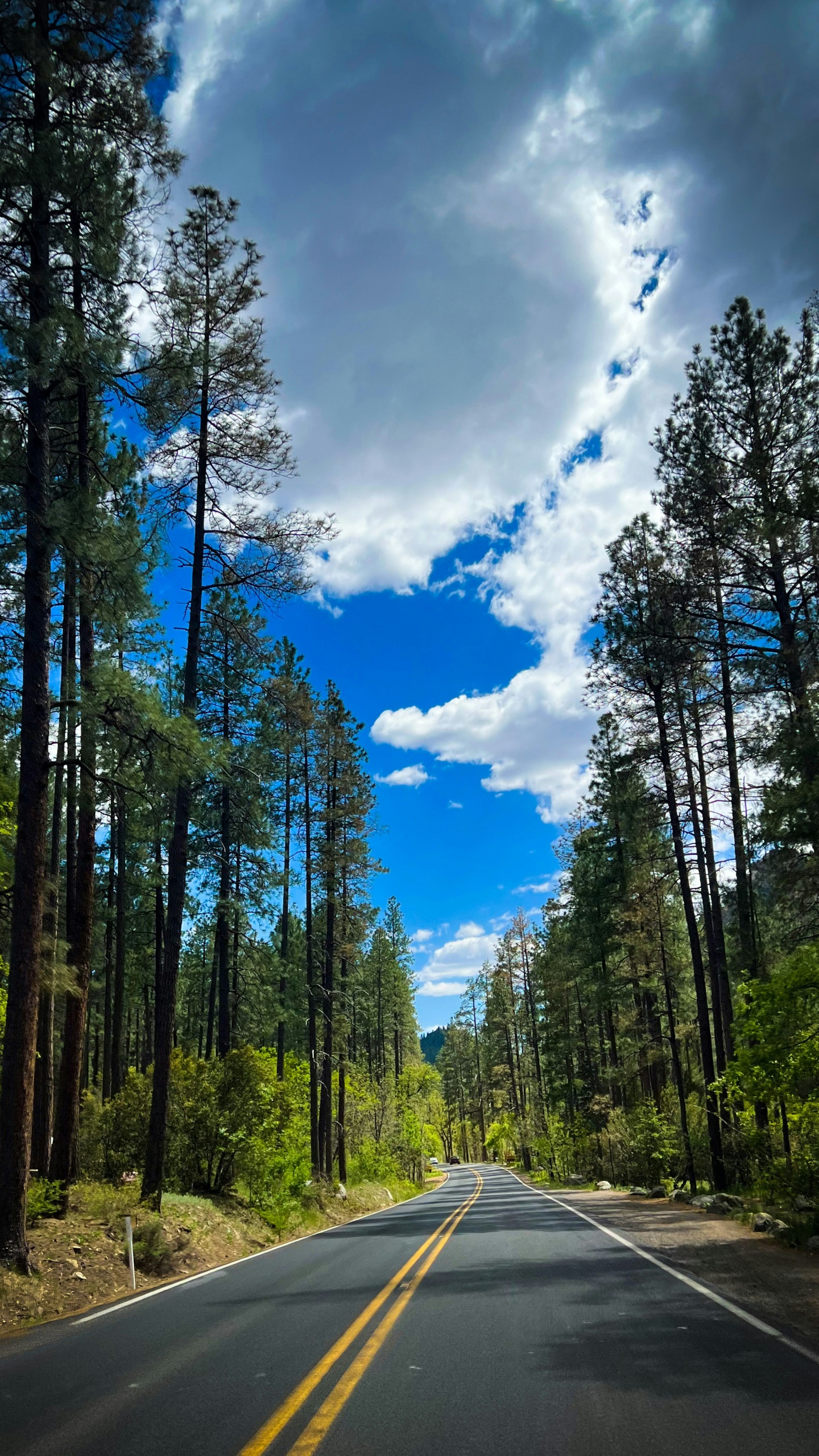 Обои автострада, дорога, бесплатно, Филадельфийская автострада, Рок Нация в разрешении 1440x2560