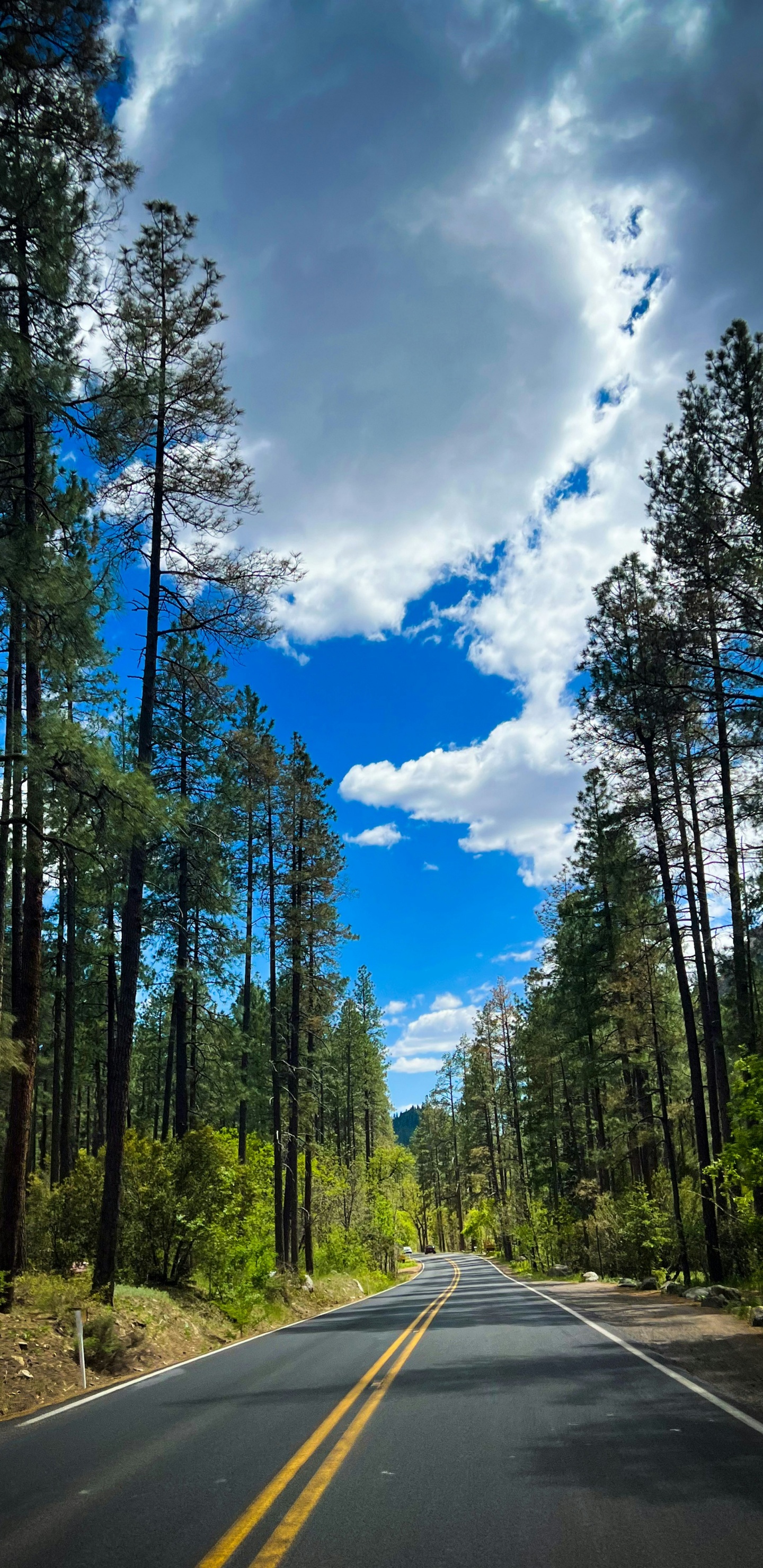 Обои автострада, дорога, бесплатно, Филадельфийская автострада, Рок Нация в разрешении 1440x2960