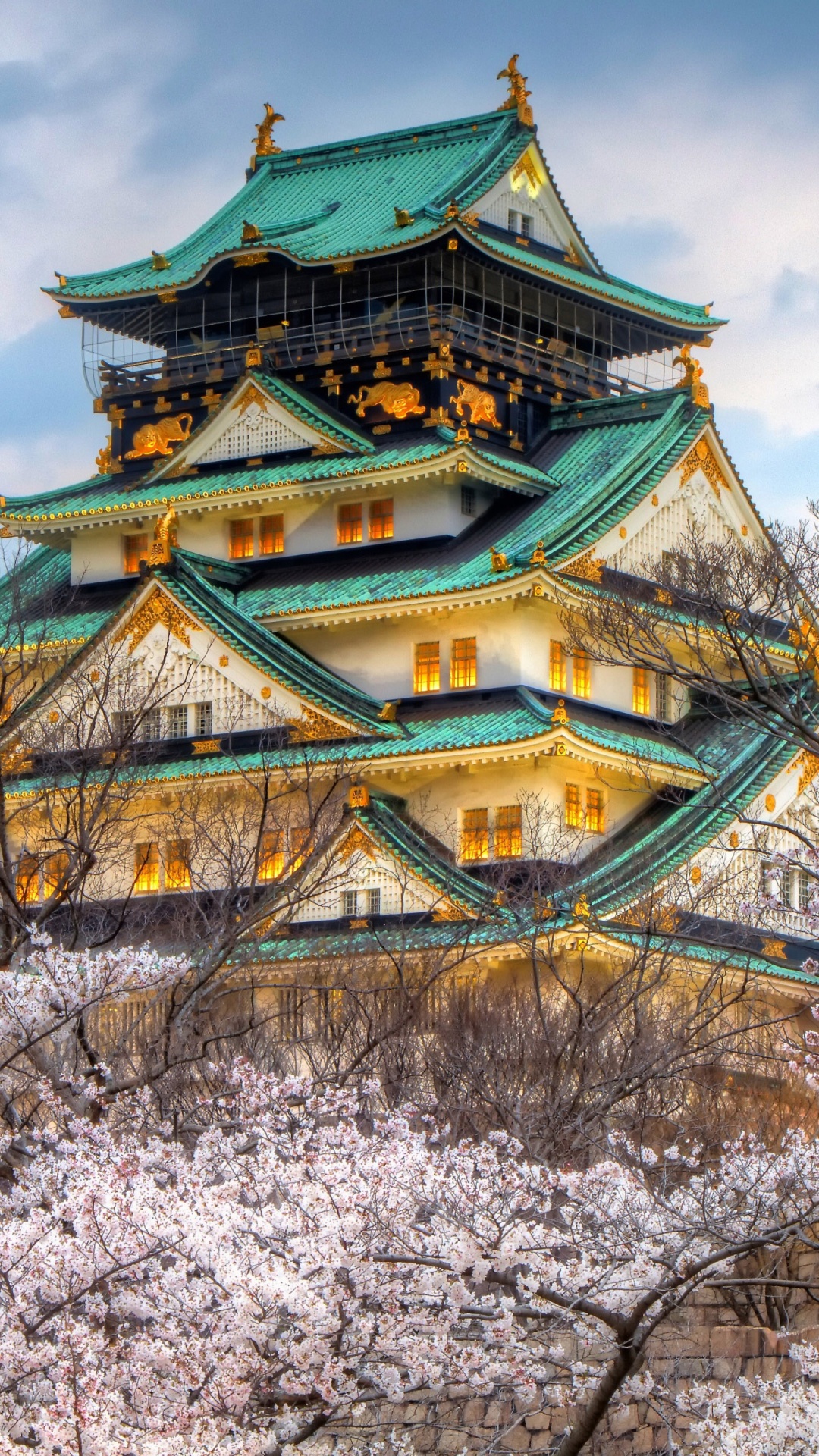 Обои Японский замок, замок Осака, Замок Химэдзи, замок, пагода в разрешении 1080x1920