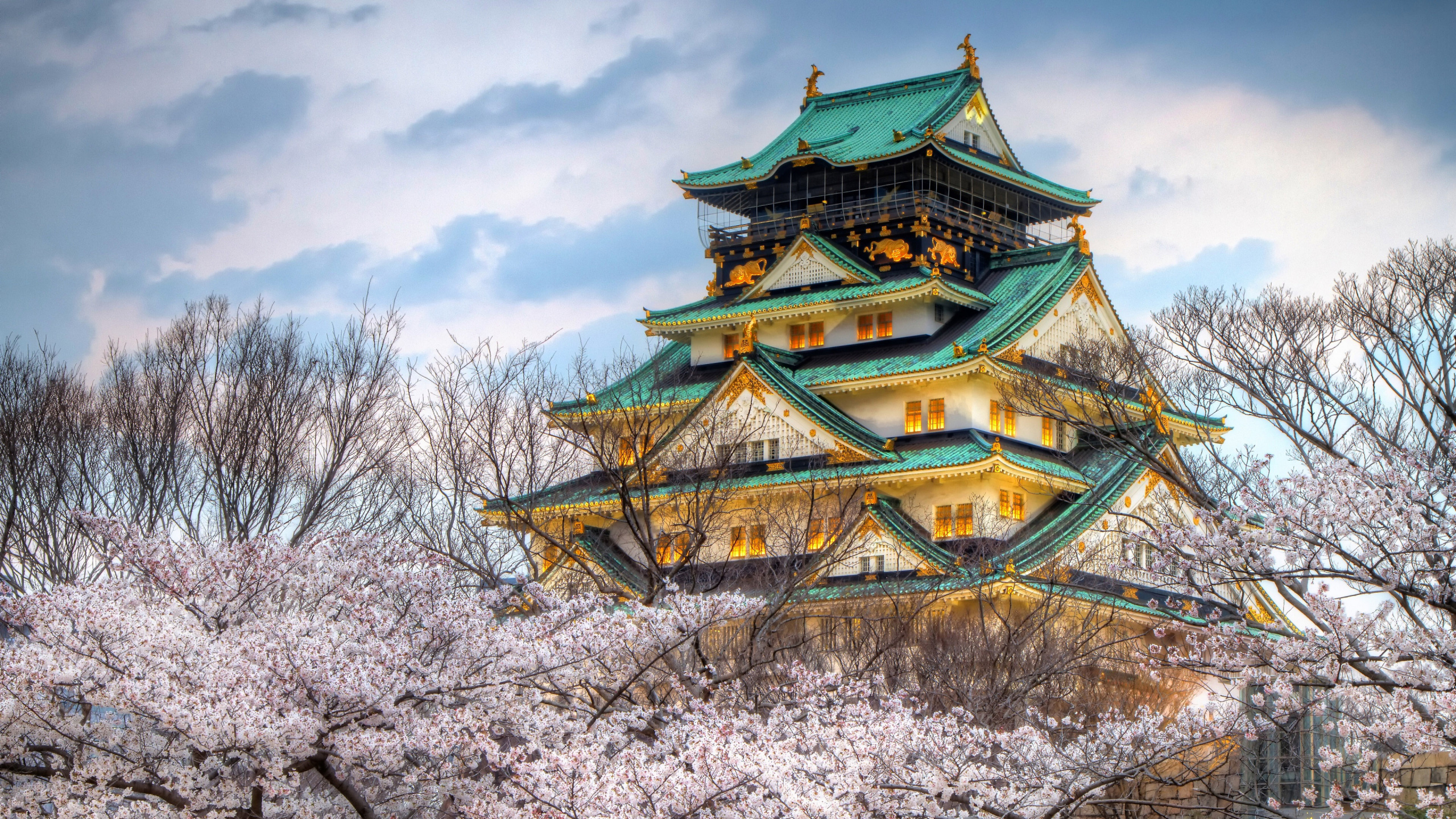 Обои Японский замок, замок Осака, Замок Химэдзи, замок, пагода в разрешении 2560x1440