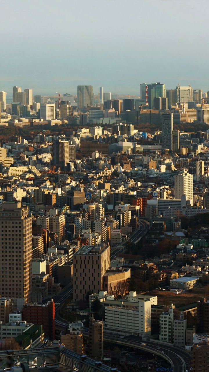 Обои городской пейзаж, город, метрополия, городской район, линия горизонта в разрешении 720x1280