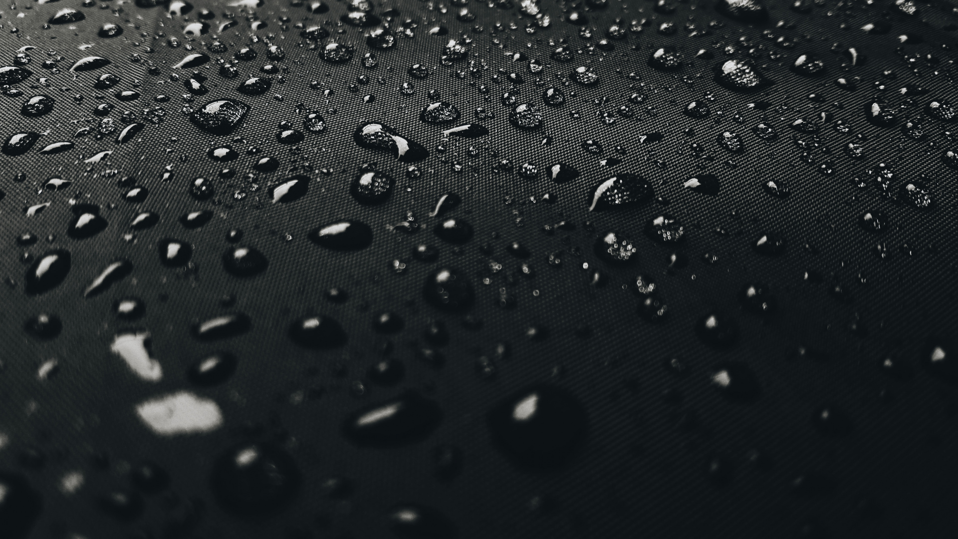 Обои вода, черный, падение, влага, дождь в разрешении 1920x1080
