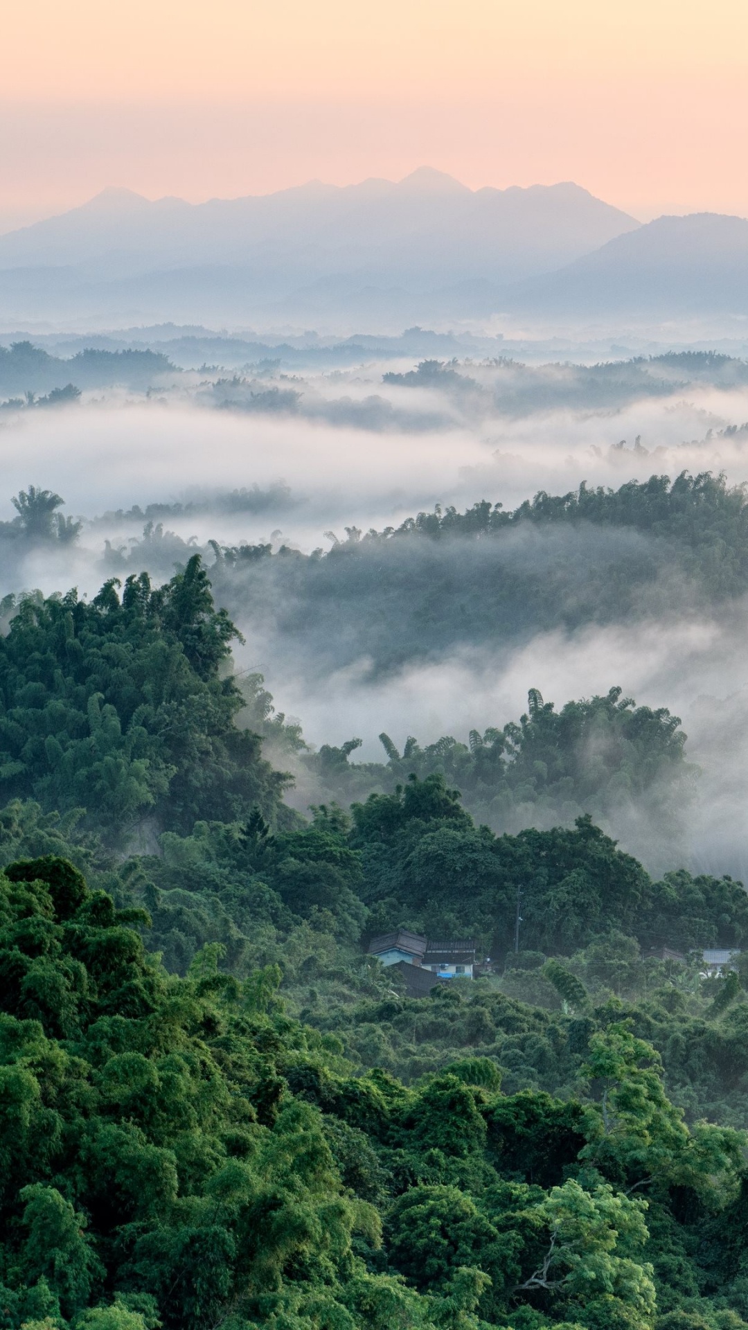 Обои туман, утро, горная станция, дымка, туманный лес в разрешении 1080x1920