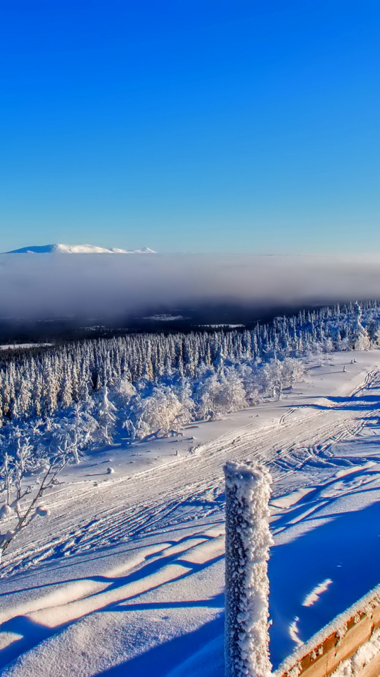 Обои снег, замораживание, лед, горный хребет, Арктика в разрешении 750x1334