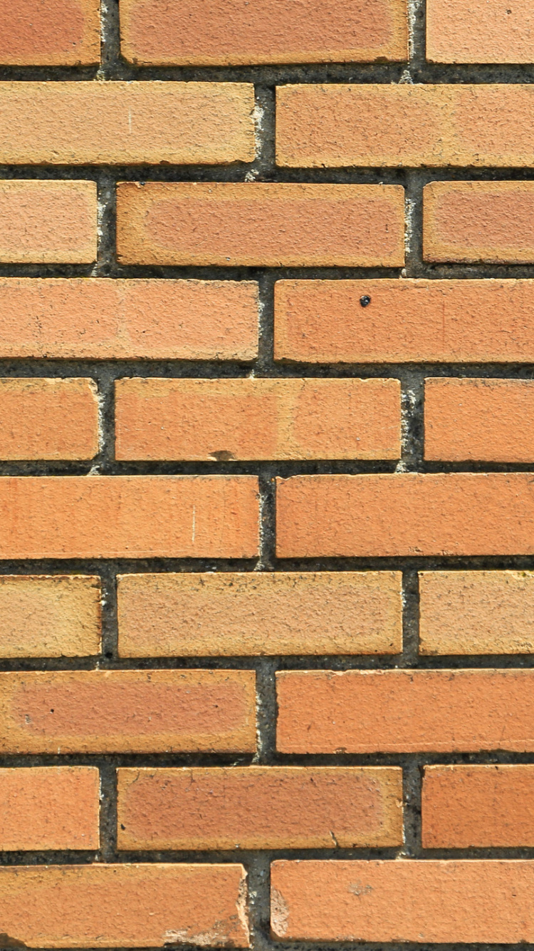 Обои кирпичная кладка, кирпич, стена, каменщик, морилка в разрешении 750x1334