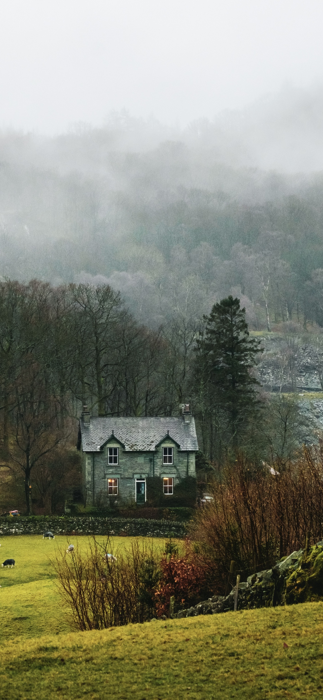 Обои природный ландшафт, дерево, сельский район, Хаус, родина в разрешении 1125x2436