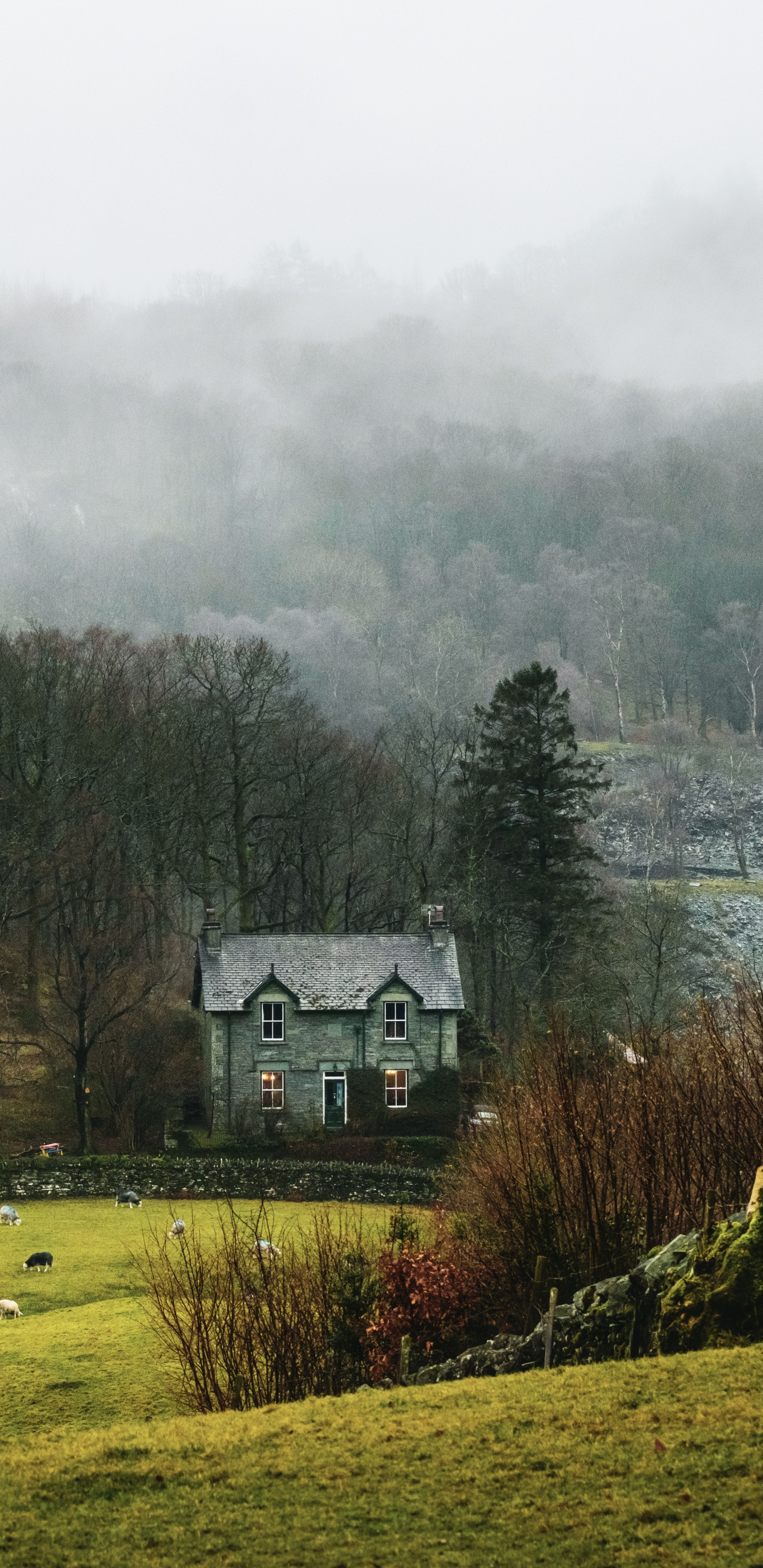 Обои природный ландшафт, дерево, сельский район, Хаус, родина в разрешении 1440x2960