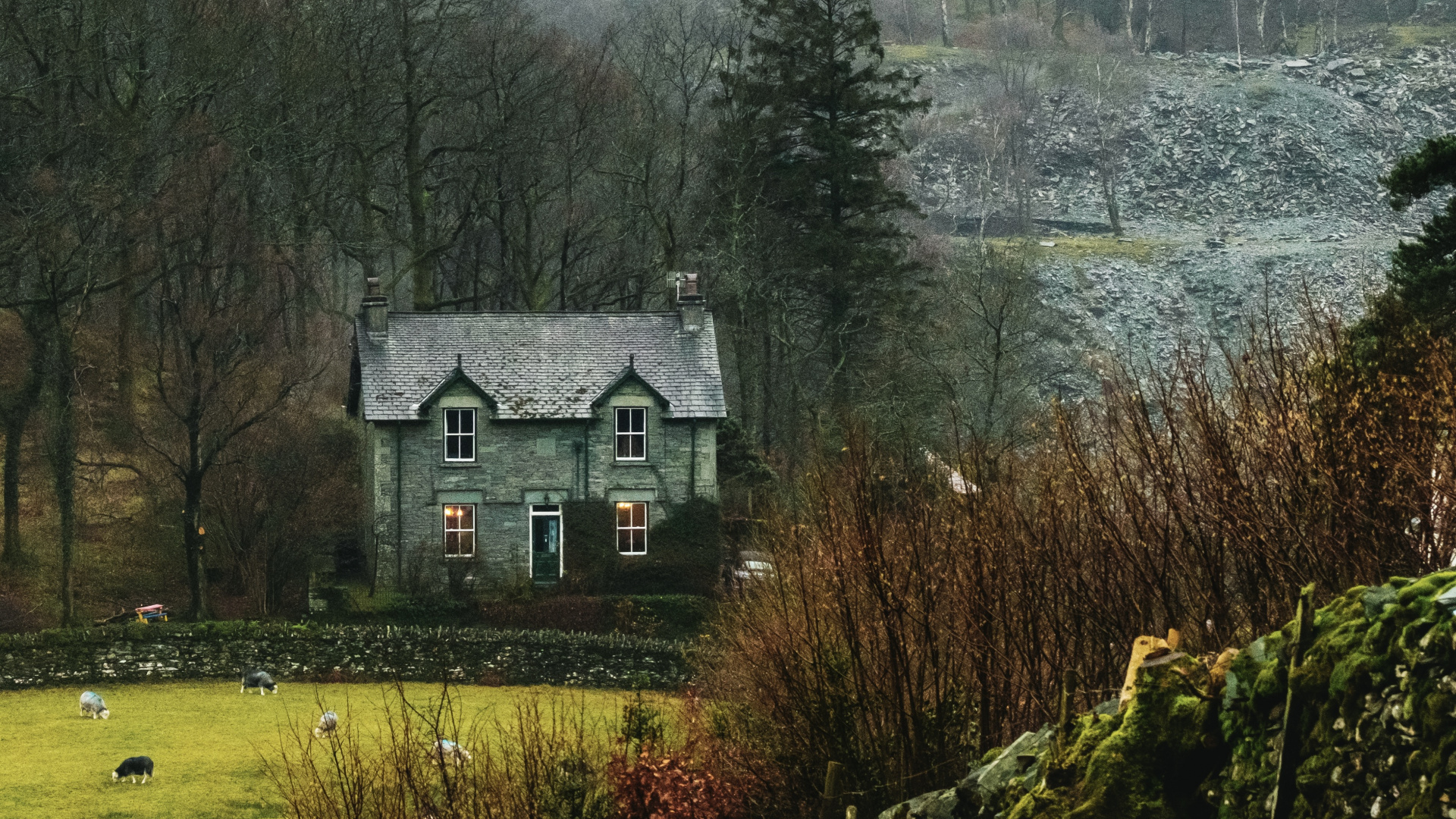 Обои природный ландшафт, дерево, сельский район, Хаус, родина в разрешении 1920x1080