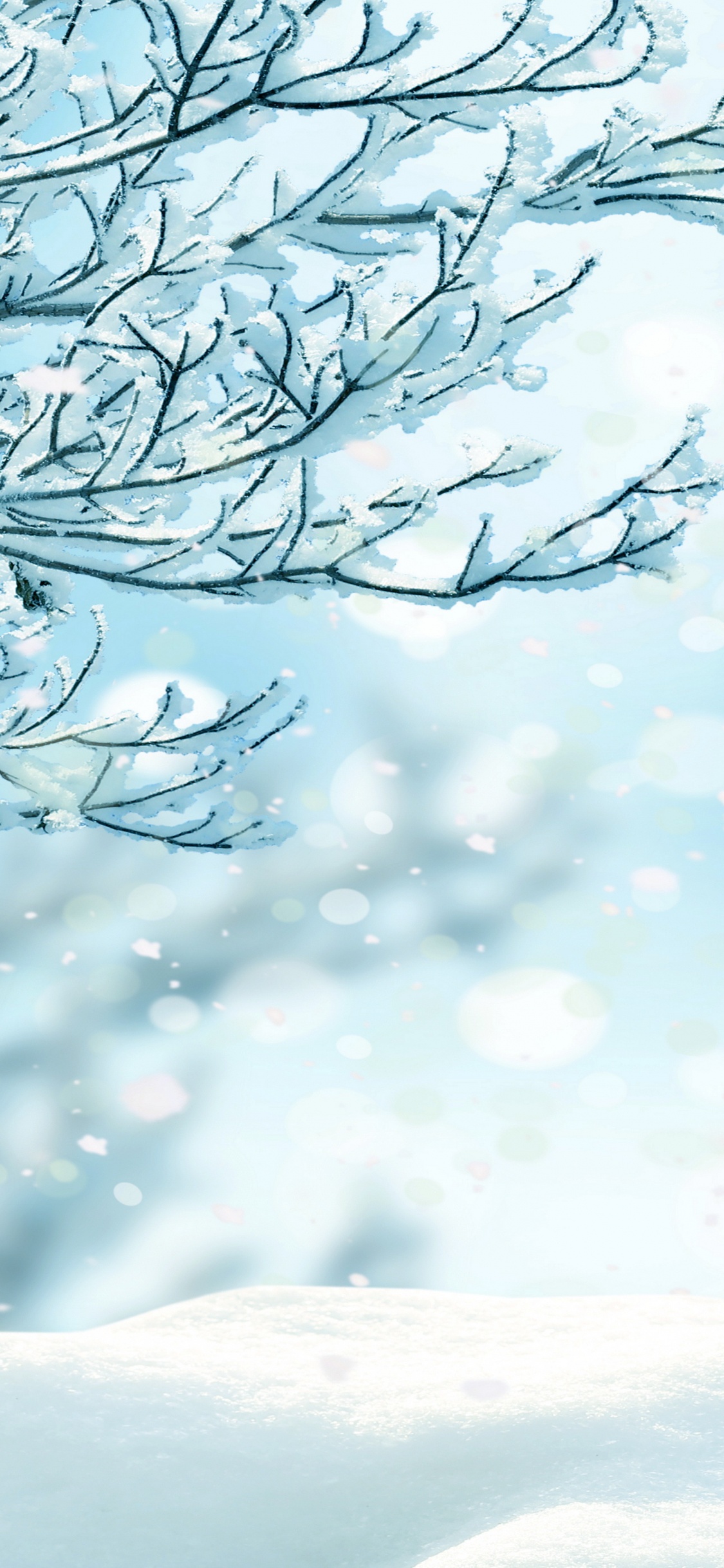 Обои Снежинка, зима, снег, синий, дерево в разрешении 1125x2436