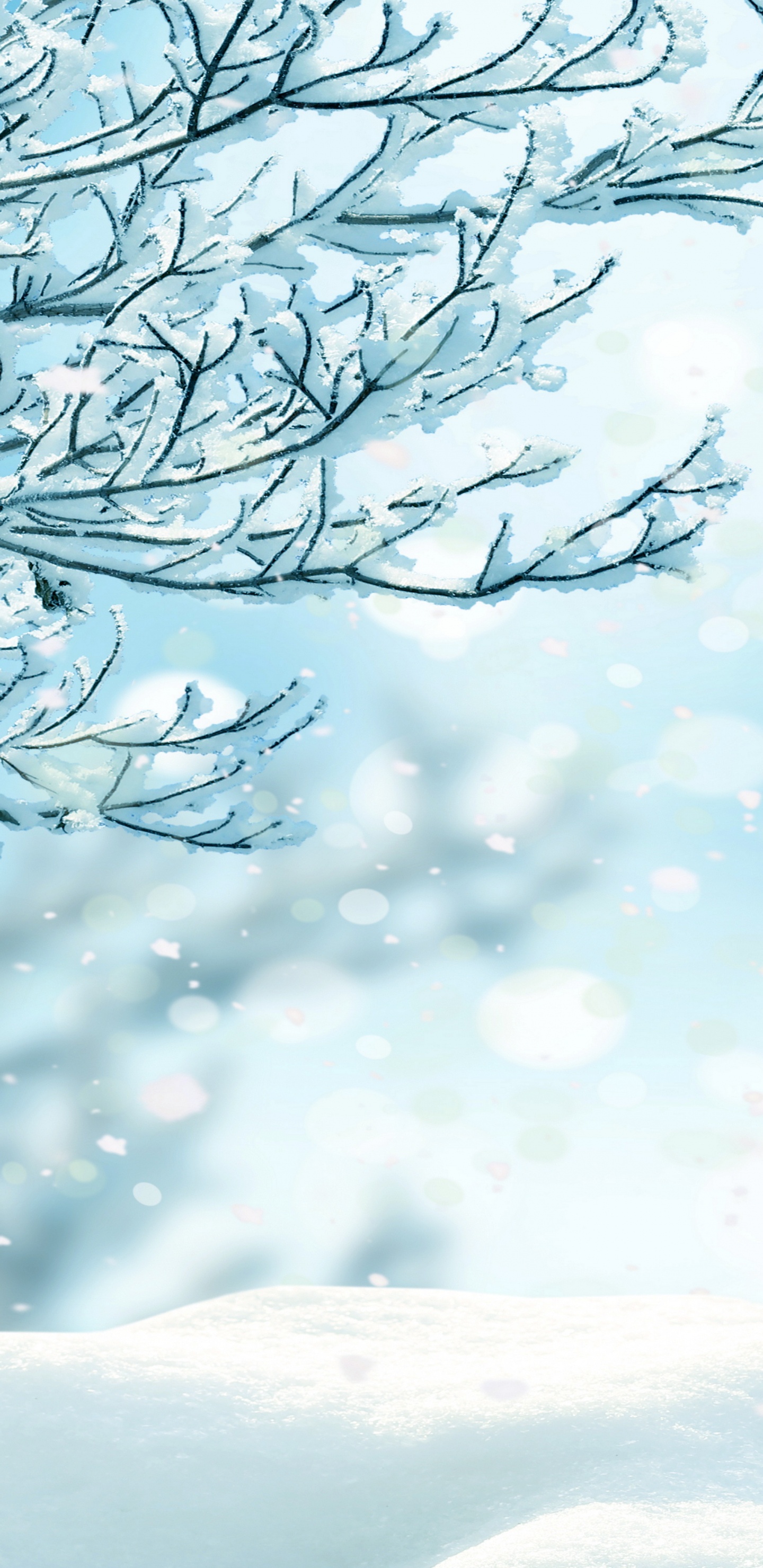 Обои Снежинка, зима, снег, синий, дерево в разрешении 1440x2960