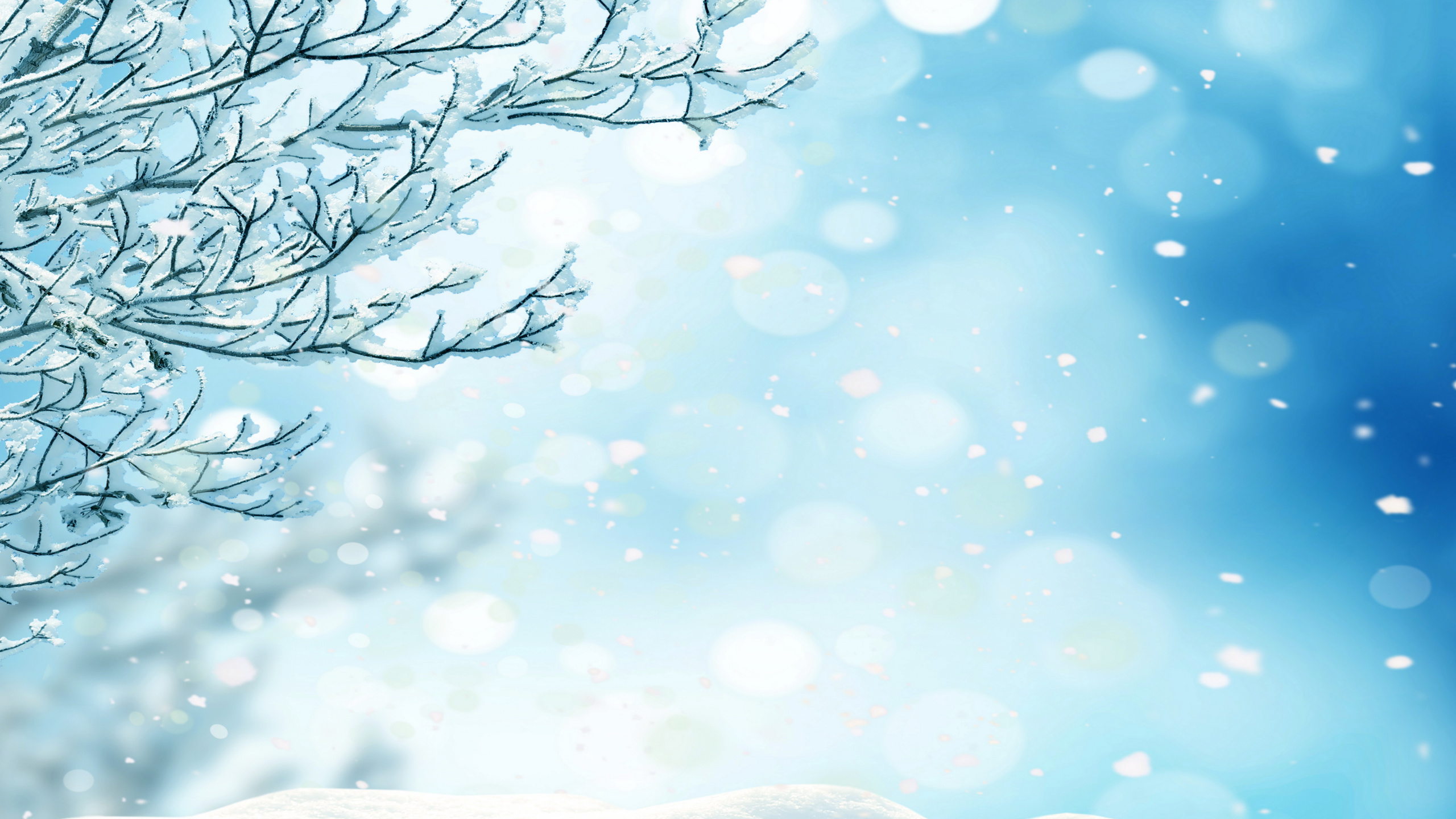 Обои Снежинка, зима, снег, синий, дерево в разрешении 2560x1440