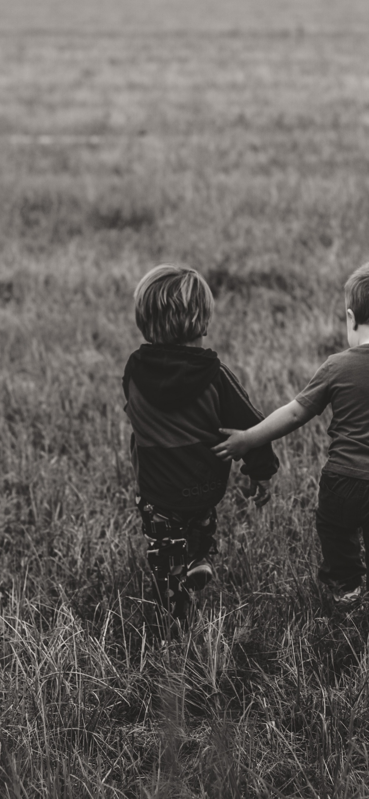 Обои сенокосное угодье, черный, пастбище, ребенок, человек в разрешении 1242x2688