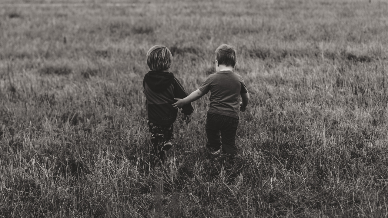 Обои сенокосное угодье, черный, пастбище, ребенок, человек в разрешении 1280x720