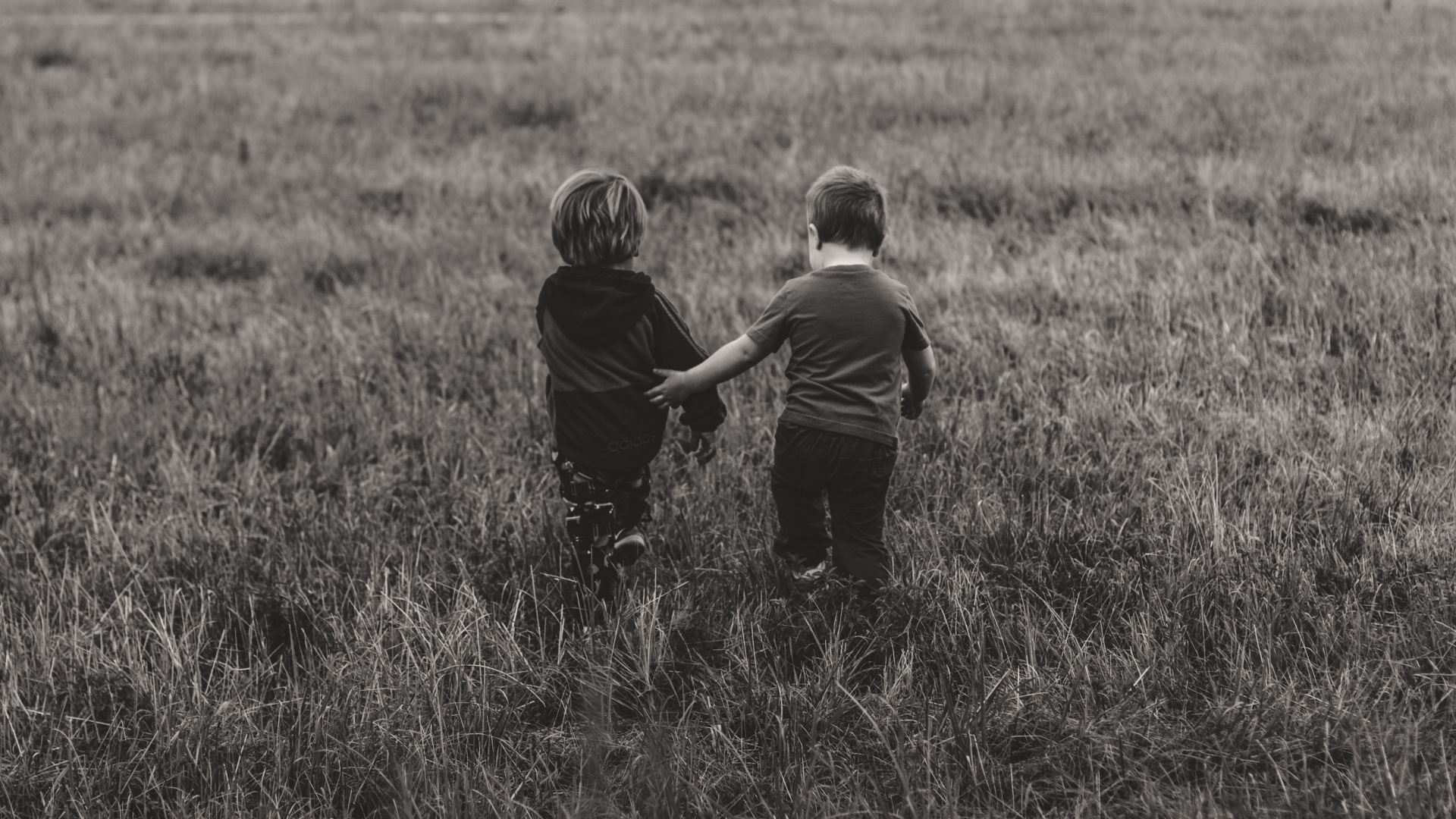 Обои сенокосное угодье, черный, пастбище, ребенок, человек в разрешении 1920x1080