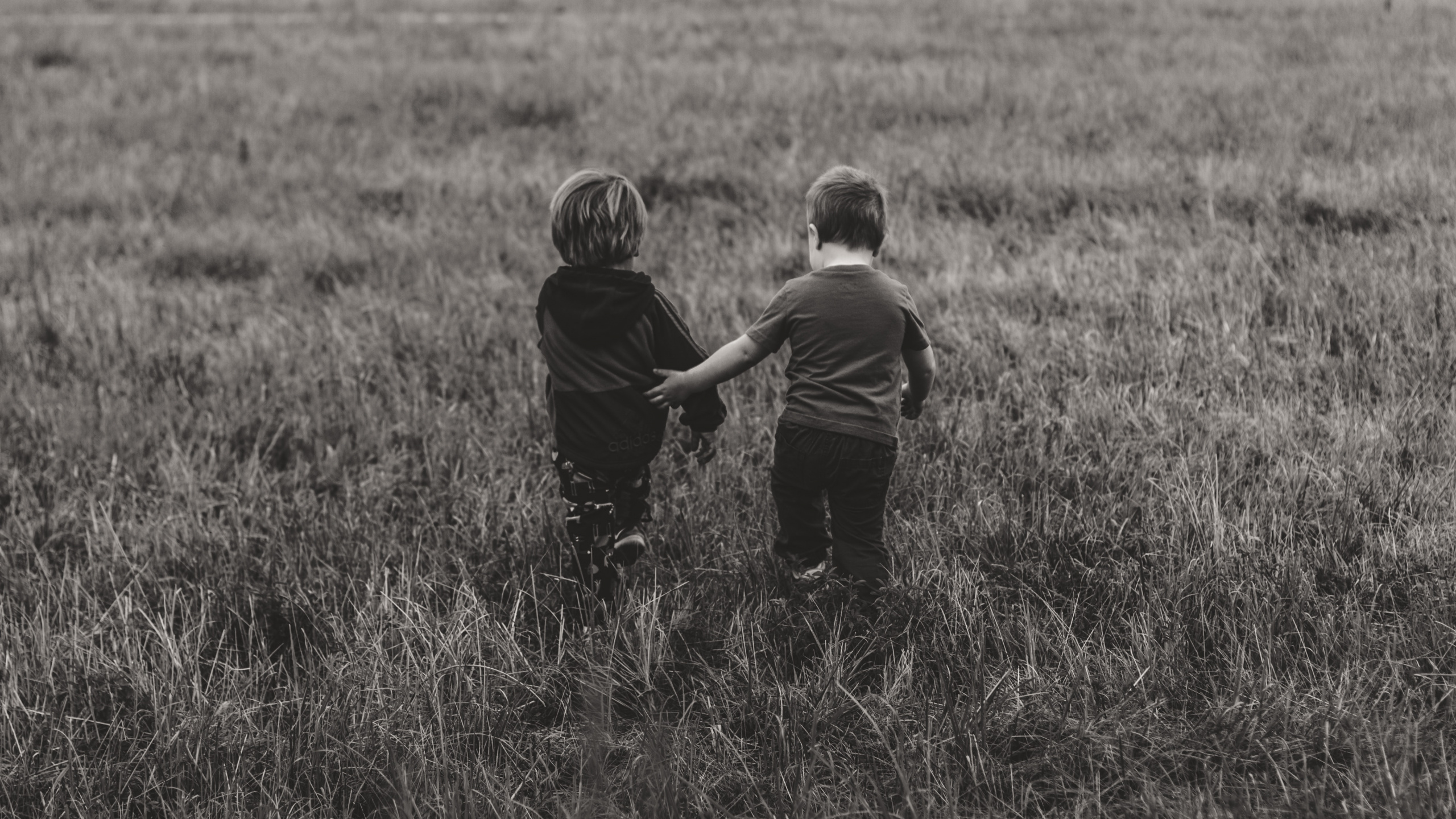 Обои сенокосное угодье, черный, пастбище, ребенок, человек в разрешении 2560x1440