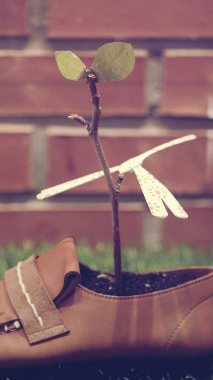 Обои башмак, белые, обувь, зеленый, коричневый цвет в разрешении 750x1334