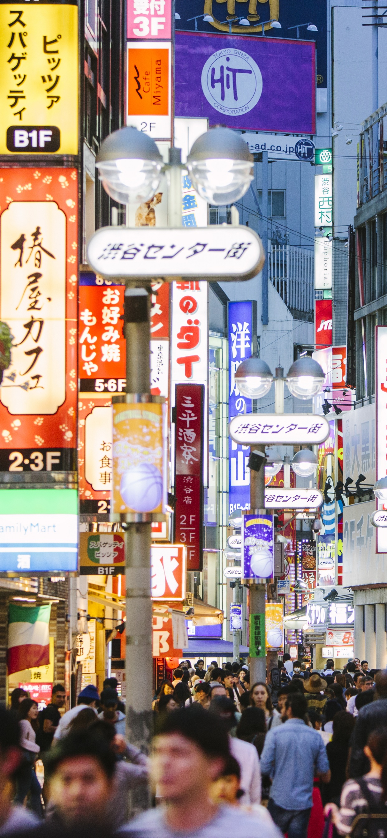 Обои городской район, метрополия, городок, улица, город в разрешении 1242x2688