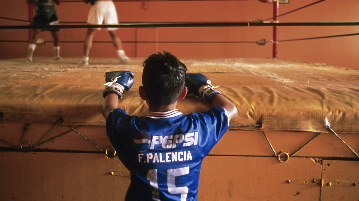 Обои занятие спортом, бокс, боксерская перчатка, спортивные объекты, забава в разрешении 1366x768