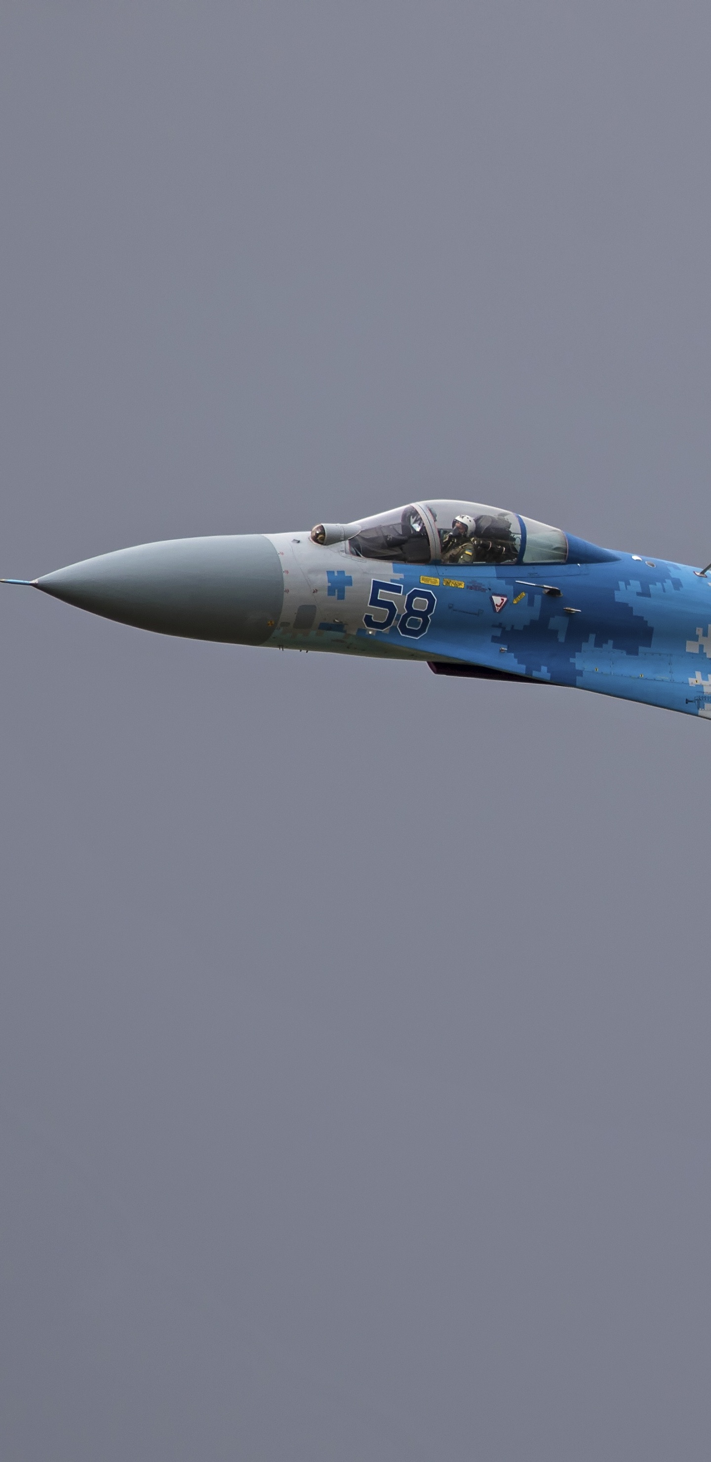 Обои российские ВВС, самолеты, самолет, истребительная авиация, военный самолет в разрешении 1440x2960