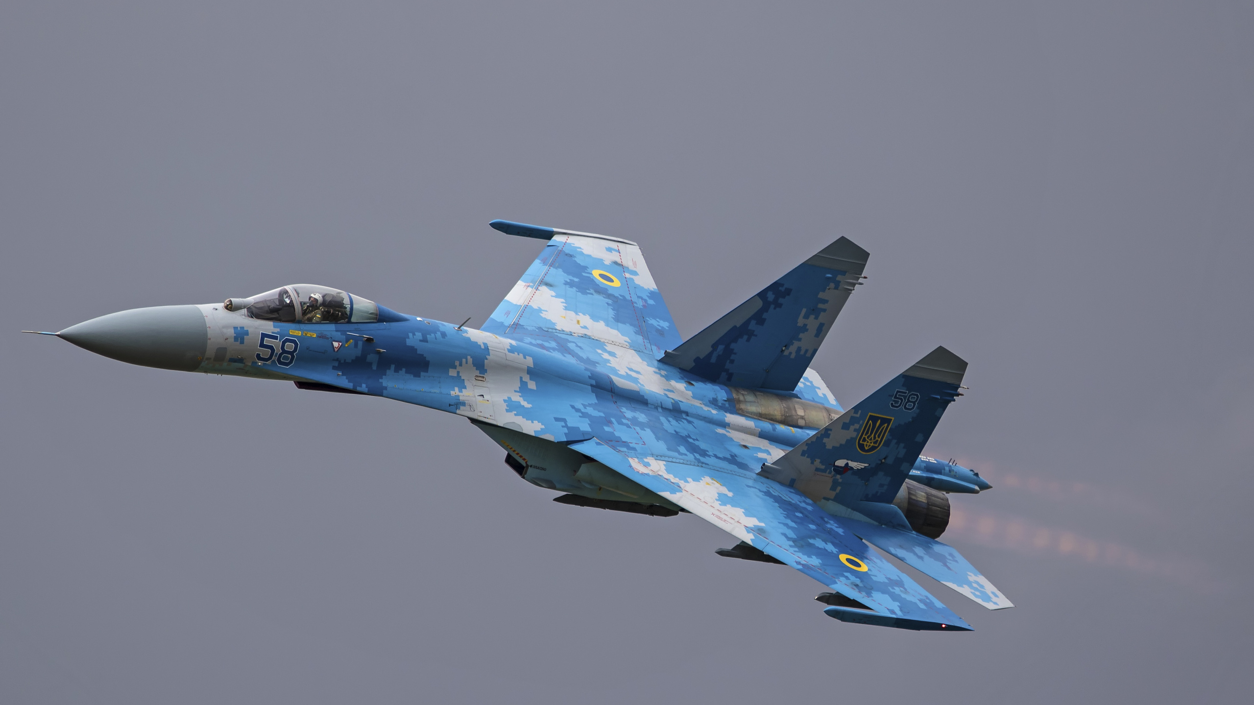 Обои российские ВВС, самолеты, самолет, истребительная авиация, военный самолет в разрешении 2560x1440