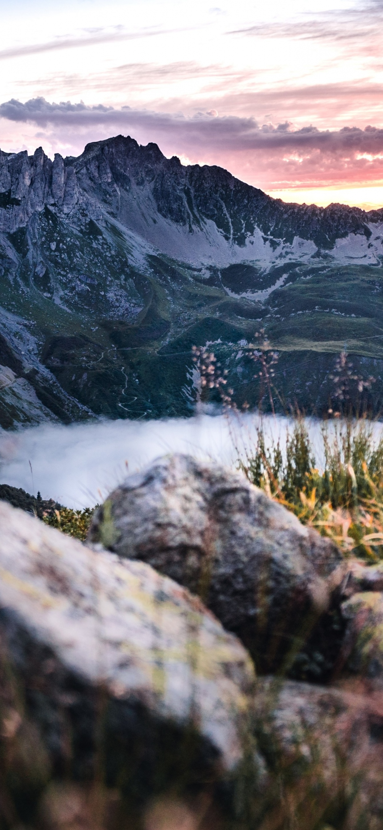 Обои облако, растение, гора, природный ландшафт, нагорье в разрешении 1242x2688