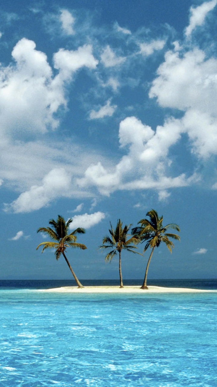 Обои море, тропическая зона, океан, вода, дневное время в разрешении 720x1280