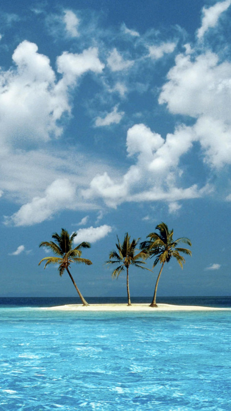 Обои море, тропическая зона, океан, вода, дневное время в разрешении 750x1334