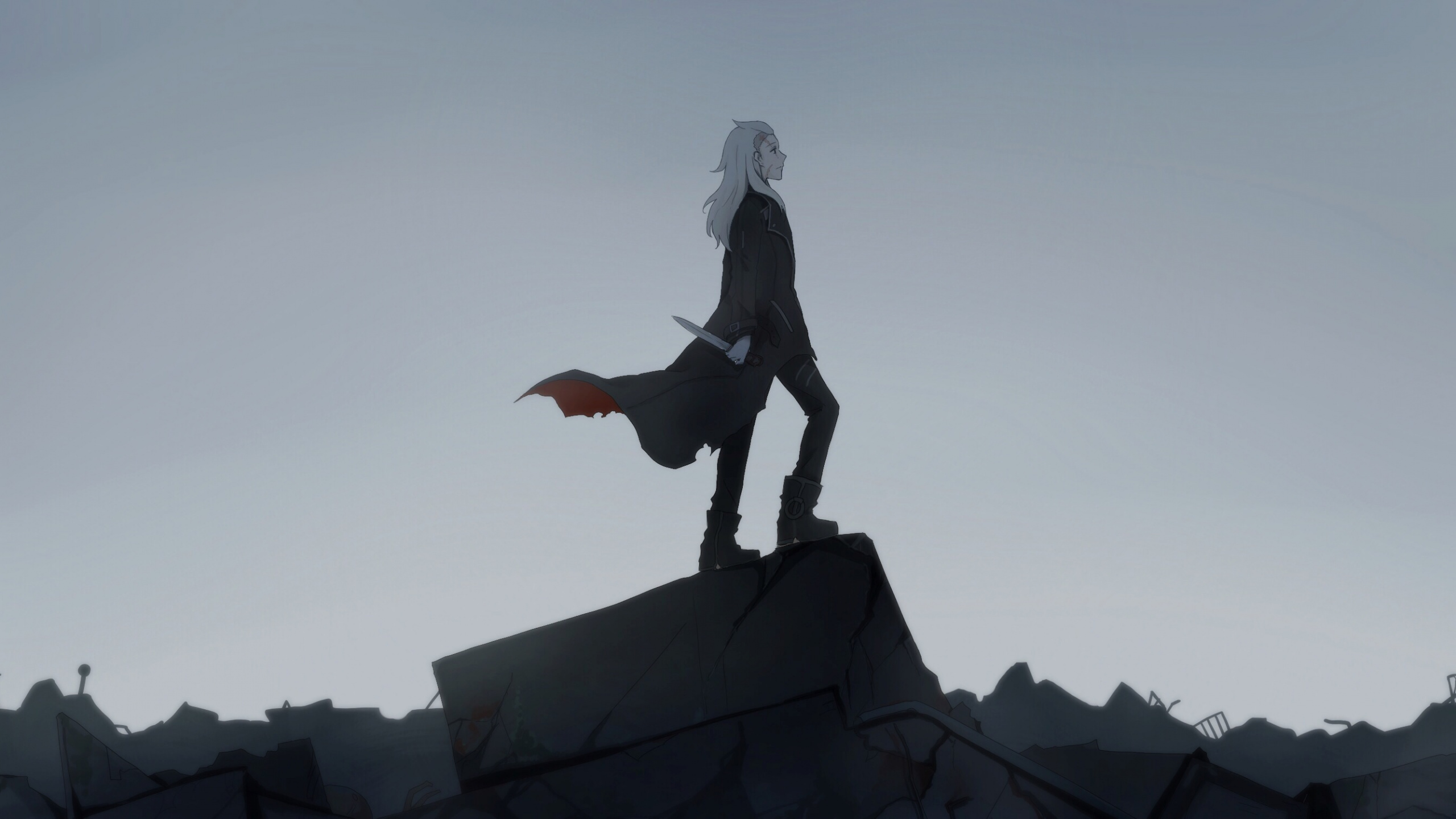 Обои небо, аниме, Под Огнями, Фристайл прогулки, tenrou Сириус егеря в разрешении 2560x1440