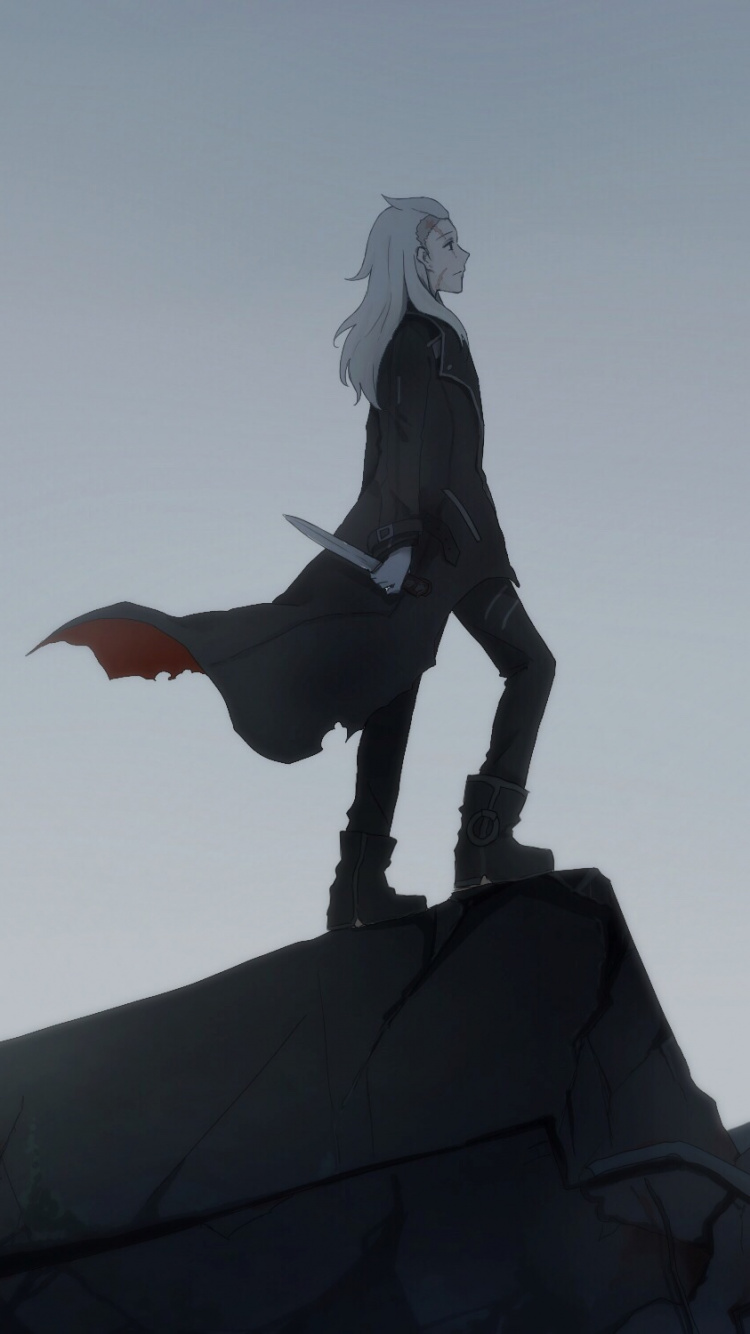 Обои небо, аниме, Под Огнями, Фристайл прогулки, tenrou Сириус егеря в разрешении 750x1334