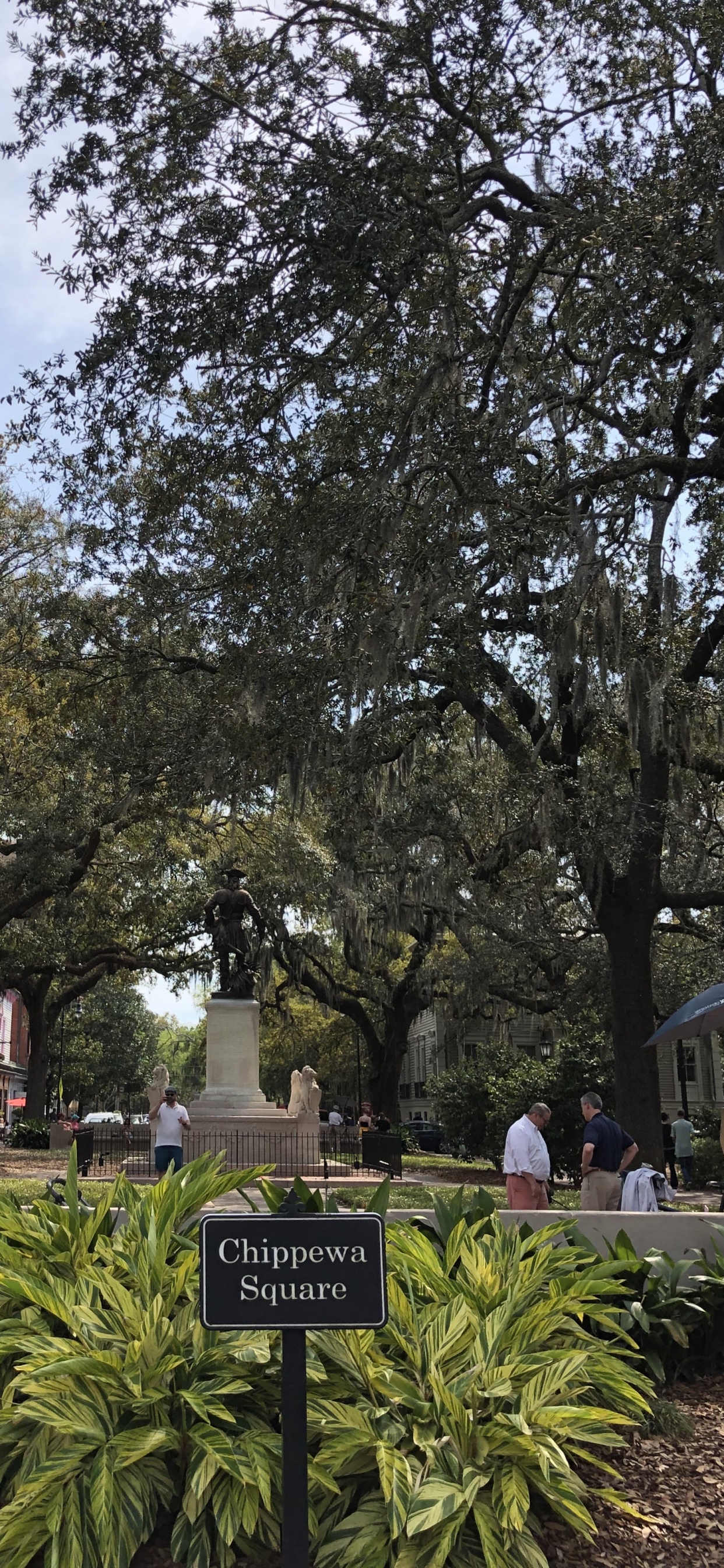 Обои лист, наука, растение, ветвь, сад в разрешении 1242x2688