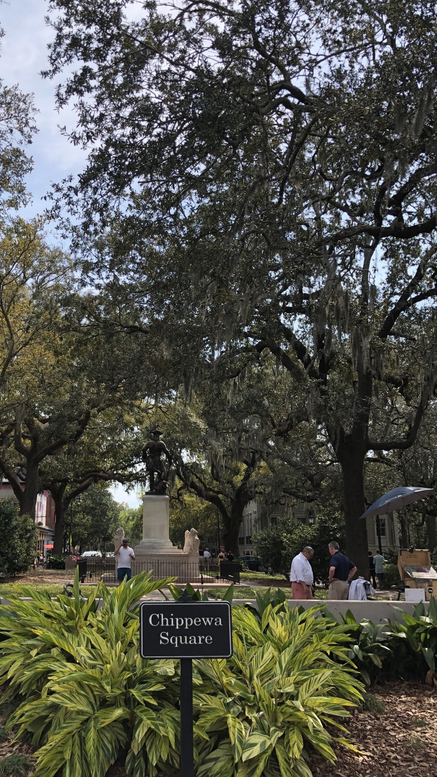 Обои лист, наука, растение, ветвь, сад в разрешении 1440x2560