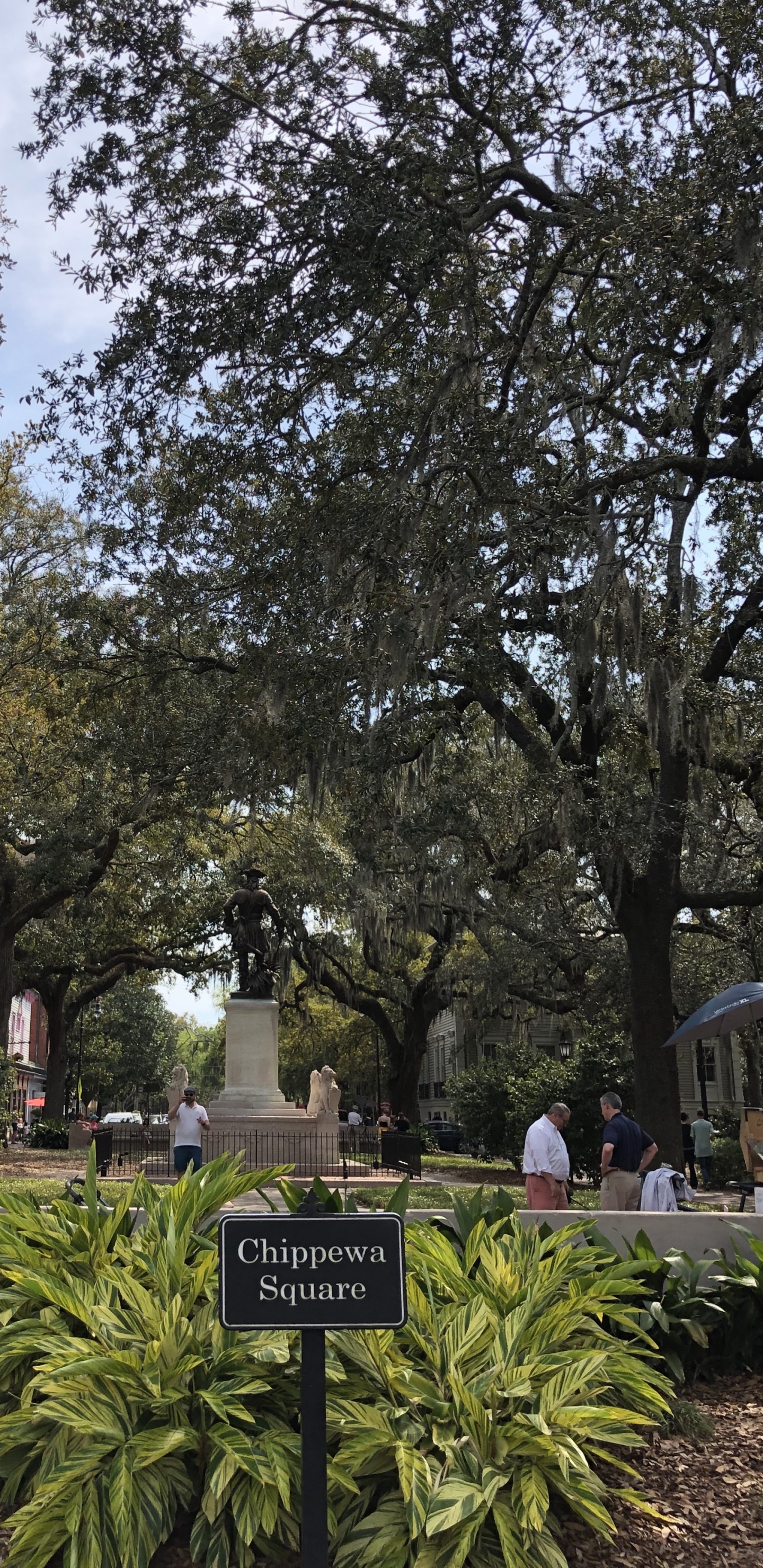 Обои лист, наука, растение, ветвь, сад в разрешении 1440x2960