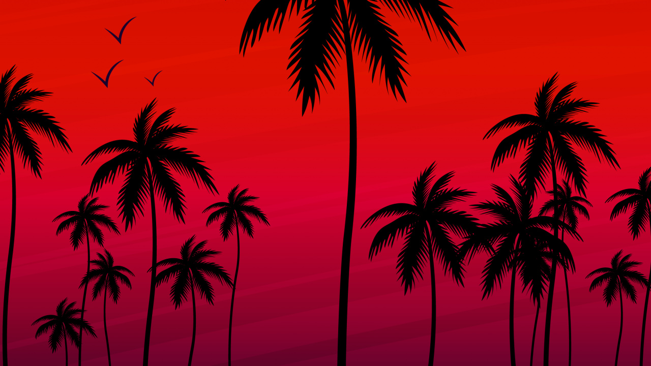Обои пальмовые рощи, Кокос, силуэт, Апельсин, древесные растения в разрешении 1280x720