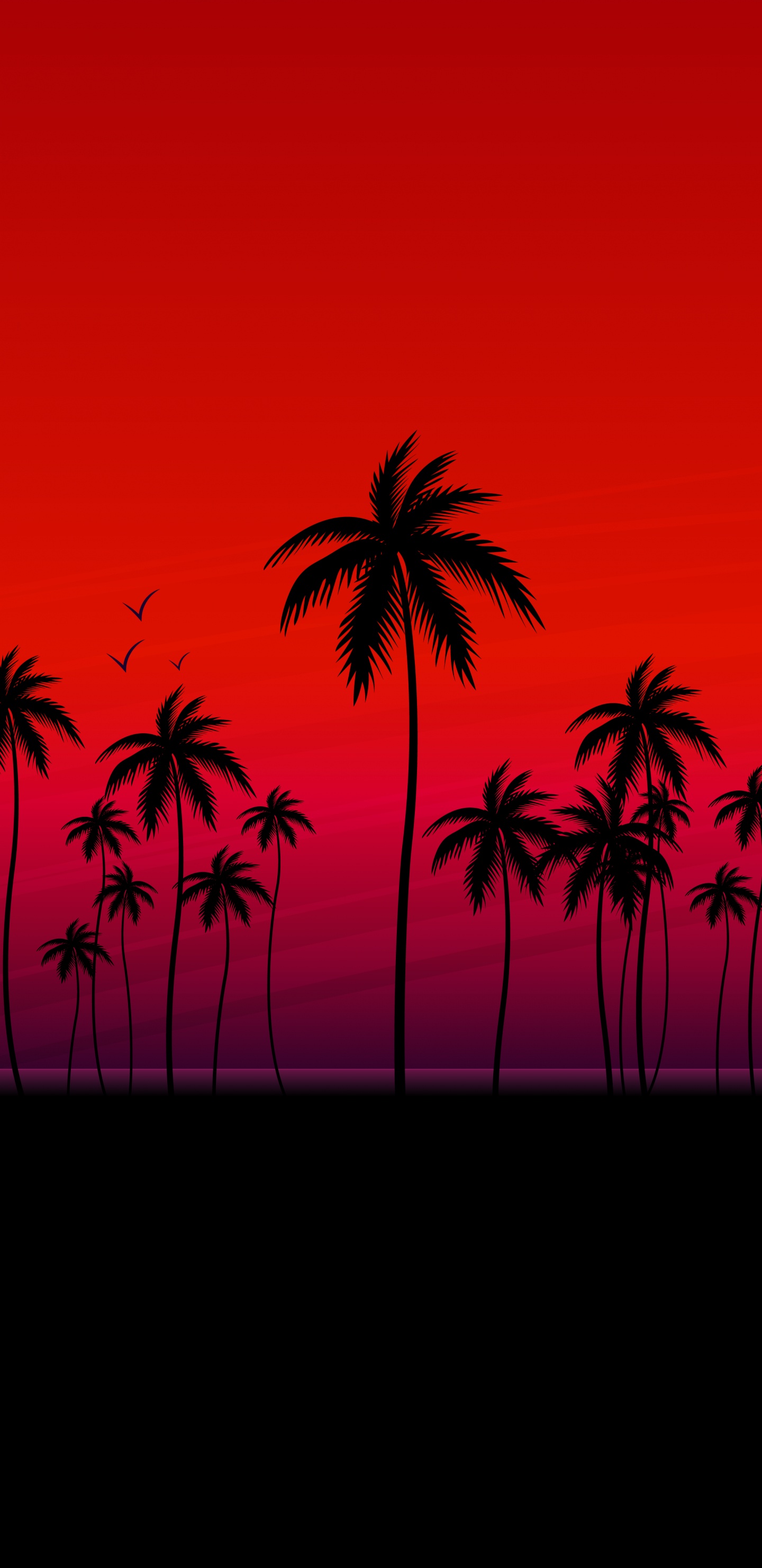 Обои пальмовые рощи, Кокос, силуэт, Апельсин, древесные растения в разрешении 1440x2960