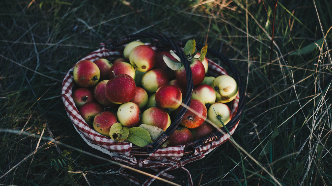 Обои фрукты, apple, растение, натюрморт, пища в разрешении 1280x720