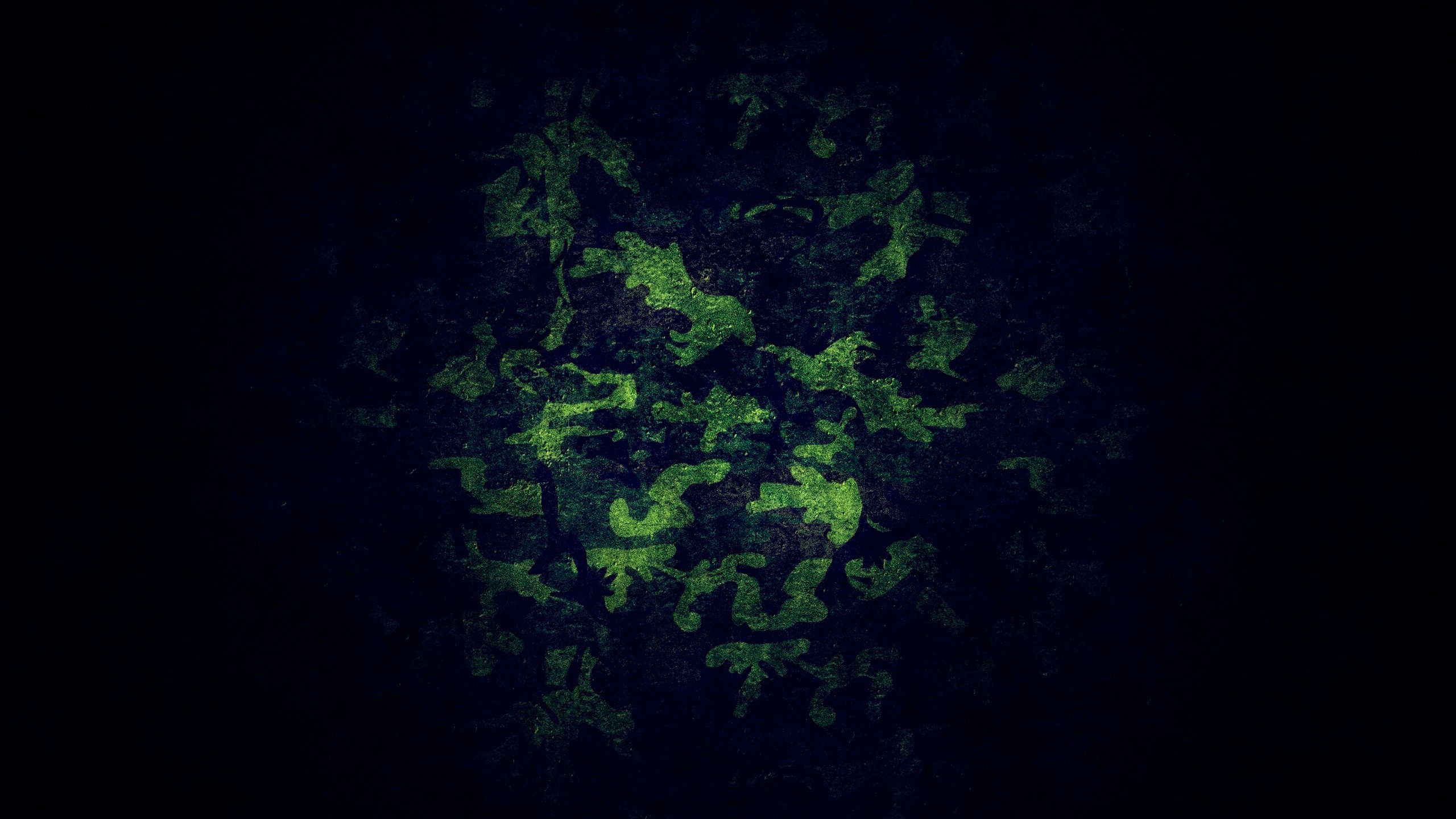Обои природа, зеленый, военный камуфляж, камуфляж, черный в разрешении 2560x1440