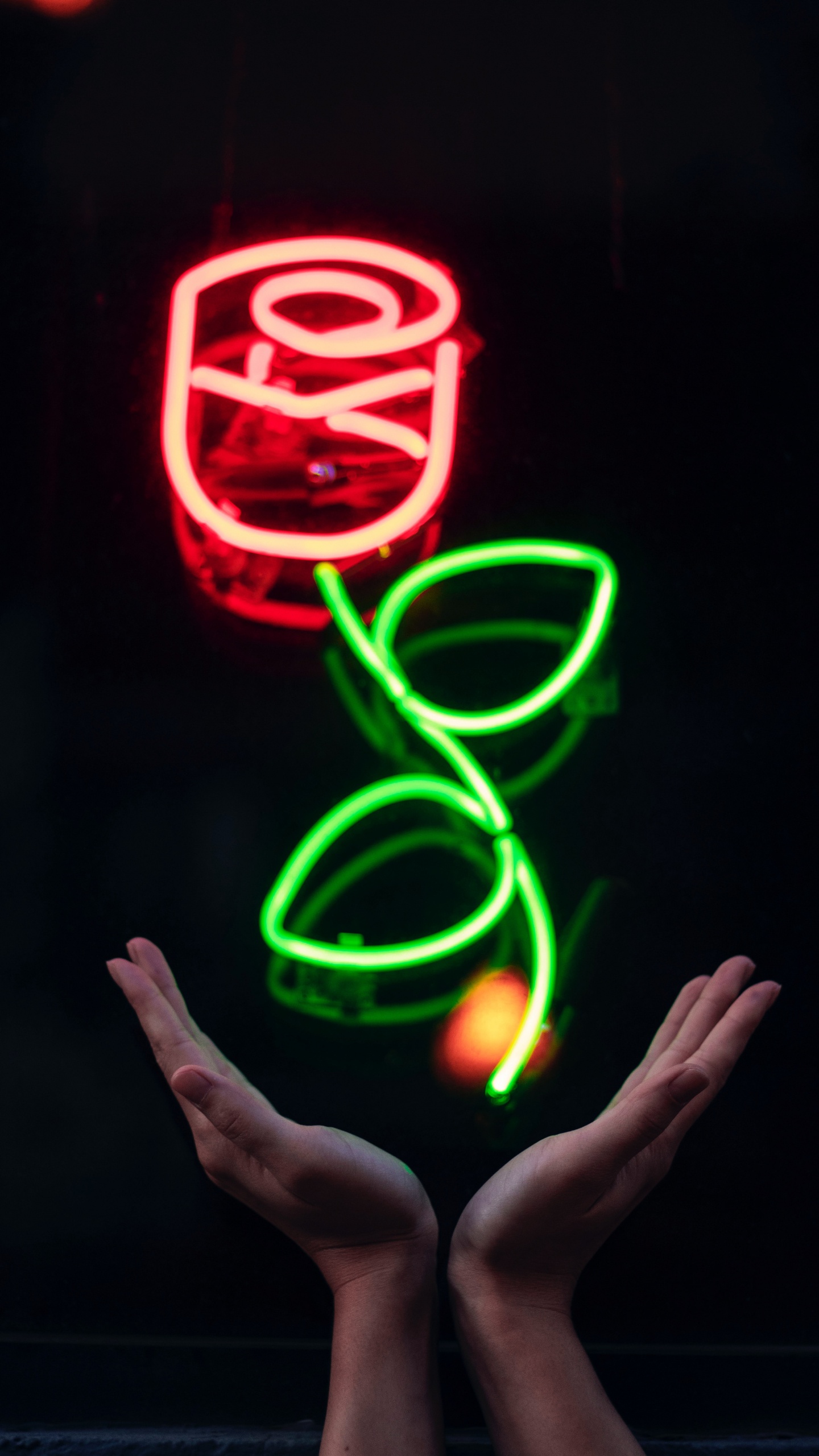 Обои вывеска, технологии, закат, неон, электронные табло в разрешении 1440x2560