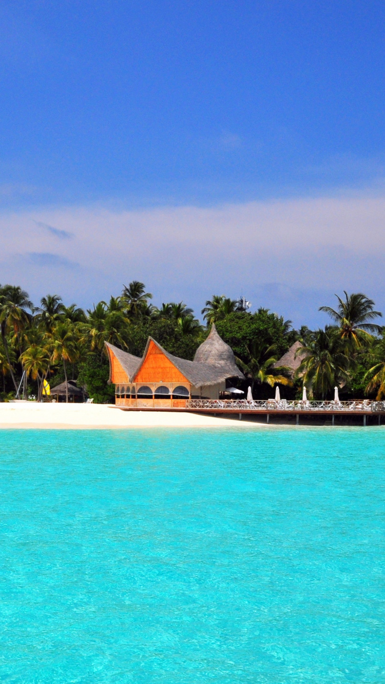 Обои плавательный бассейн, море, прибрежные и океанические рельефы, прибежище, Карибский бассейн в разрешении 750x1334