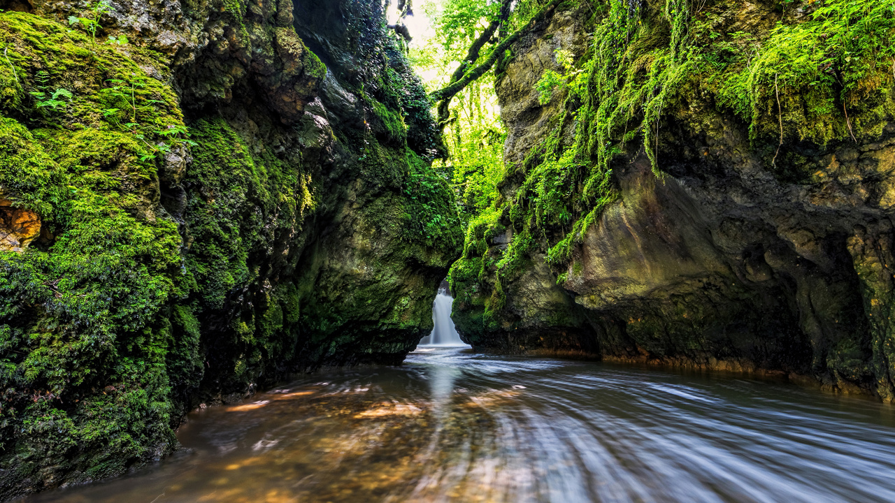 Обои природа, вода, водоток, гидроресурсы, растительность в разрешении 1280x720