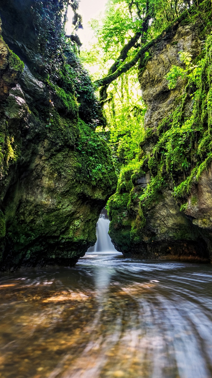 Обои природа, вода, водоток, гидроресурсы, растительность в разрешении 720x1280