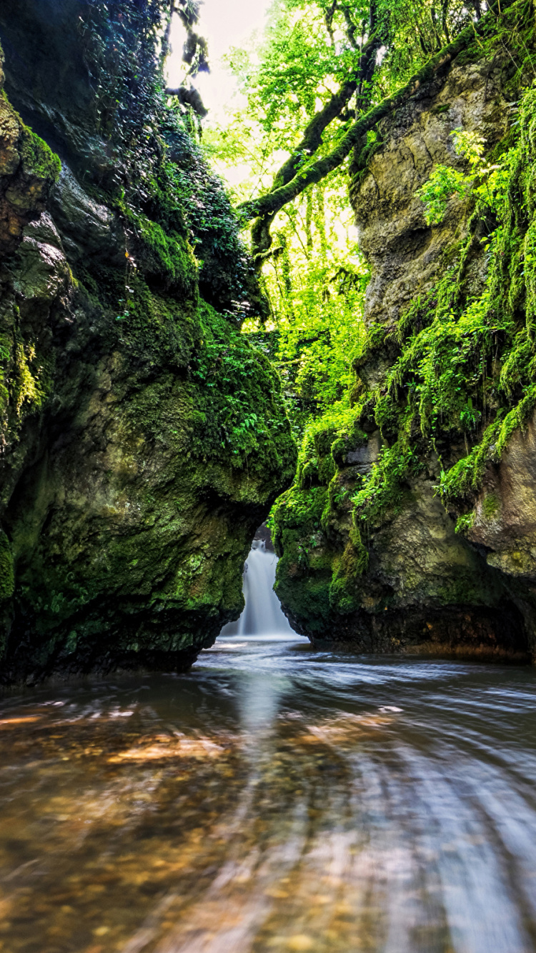 Обои природа, вода, водоток, гидроресурсы, растительность в разрешении 750x1334