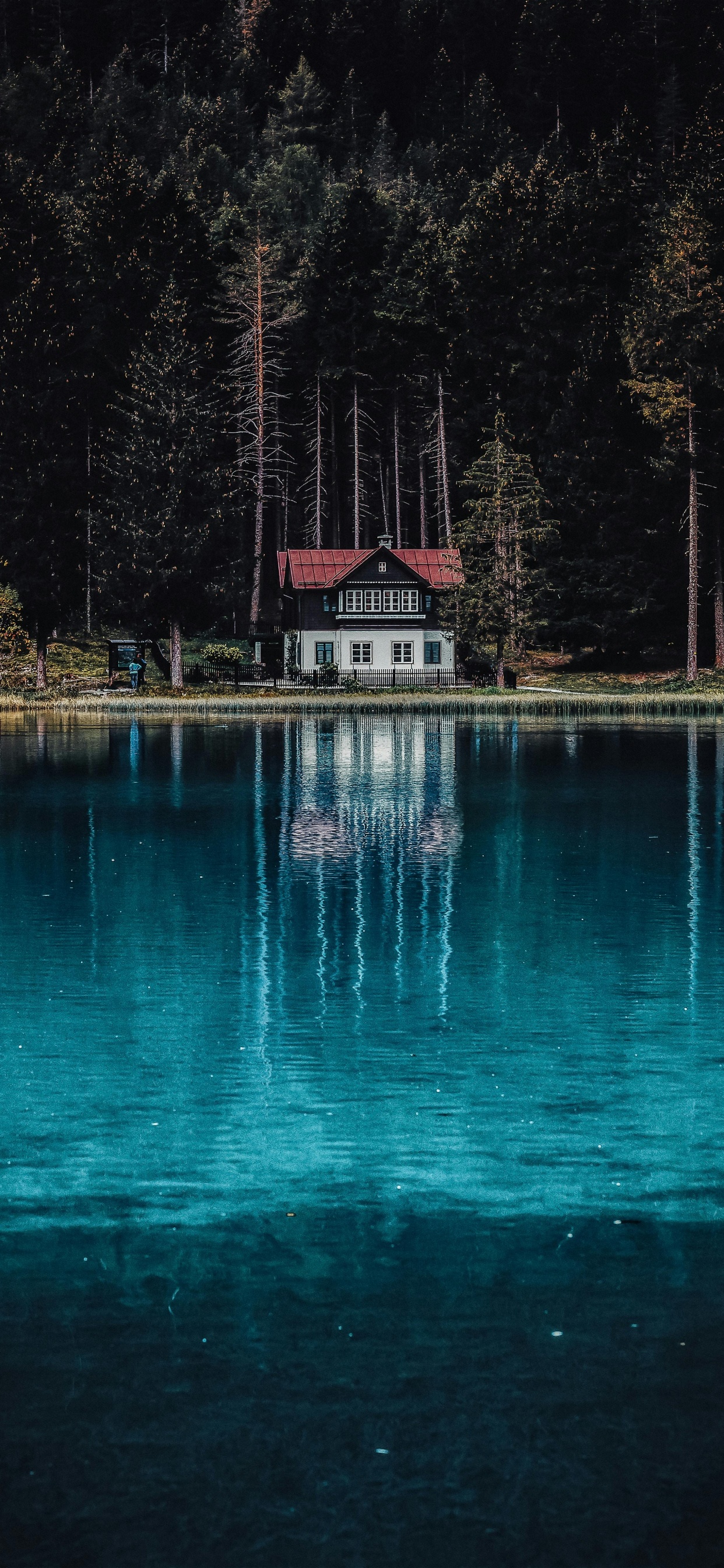 Обои пиксель, фрипик, портрет, синий, вода в разрешении 1242x2688