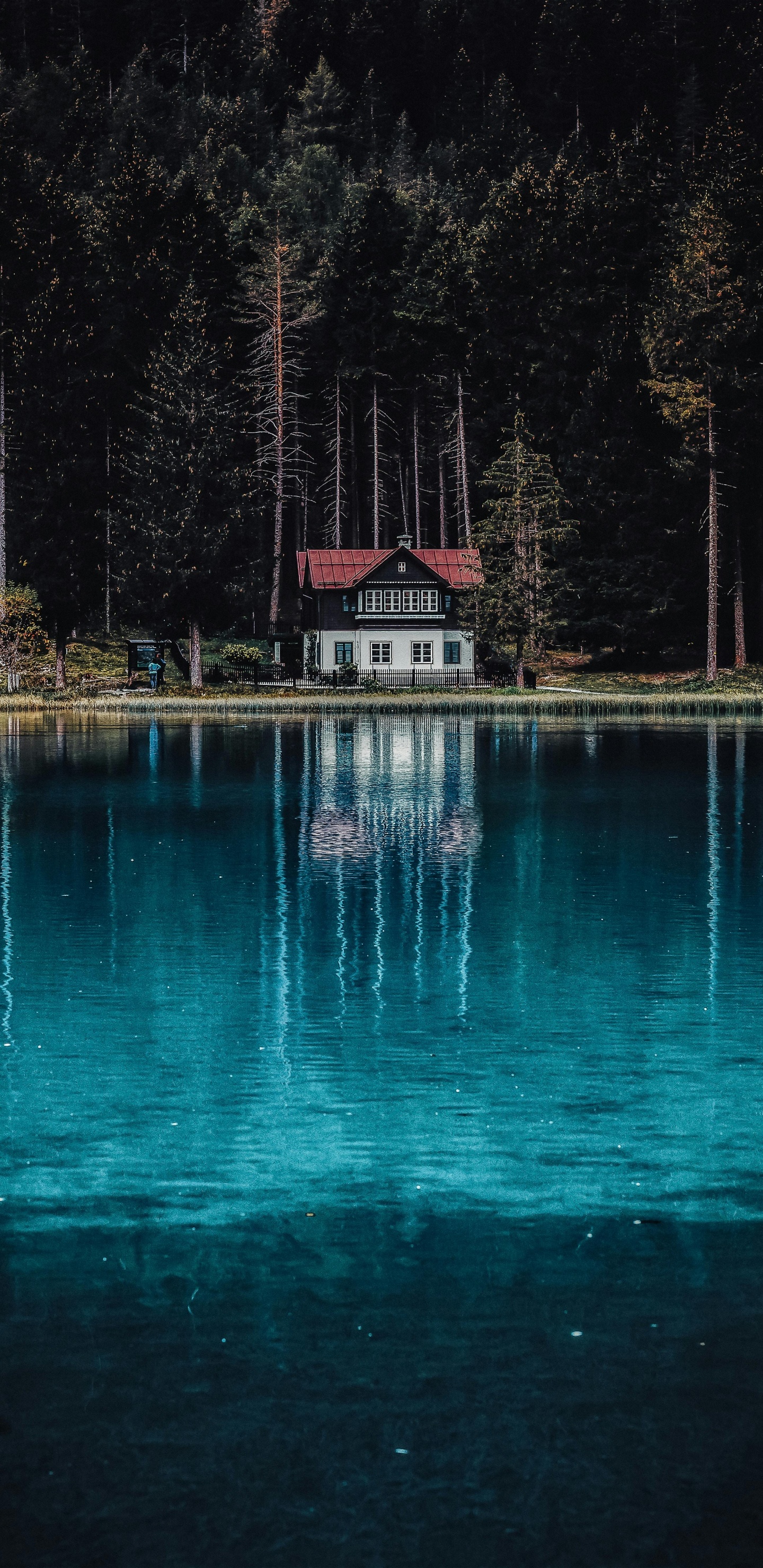 Обои пиксель, фрипик, портрет, синий, вода в разрешении 1440x2960