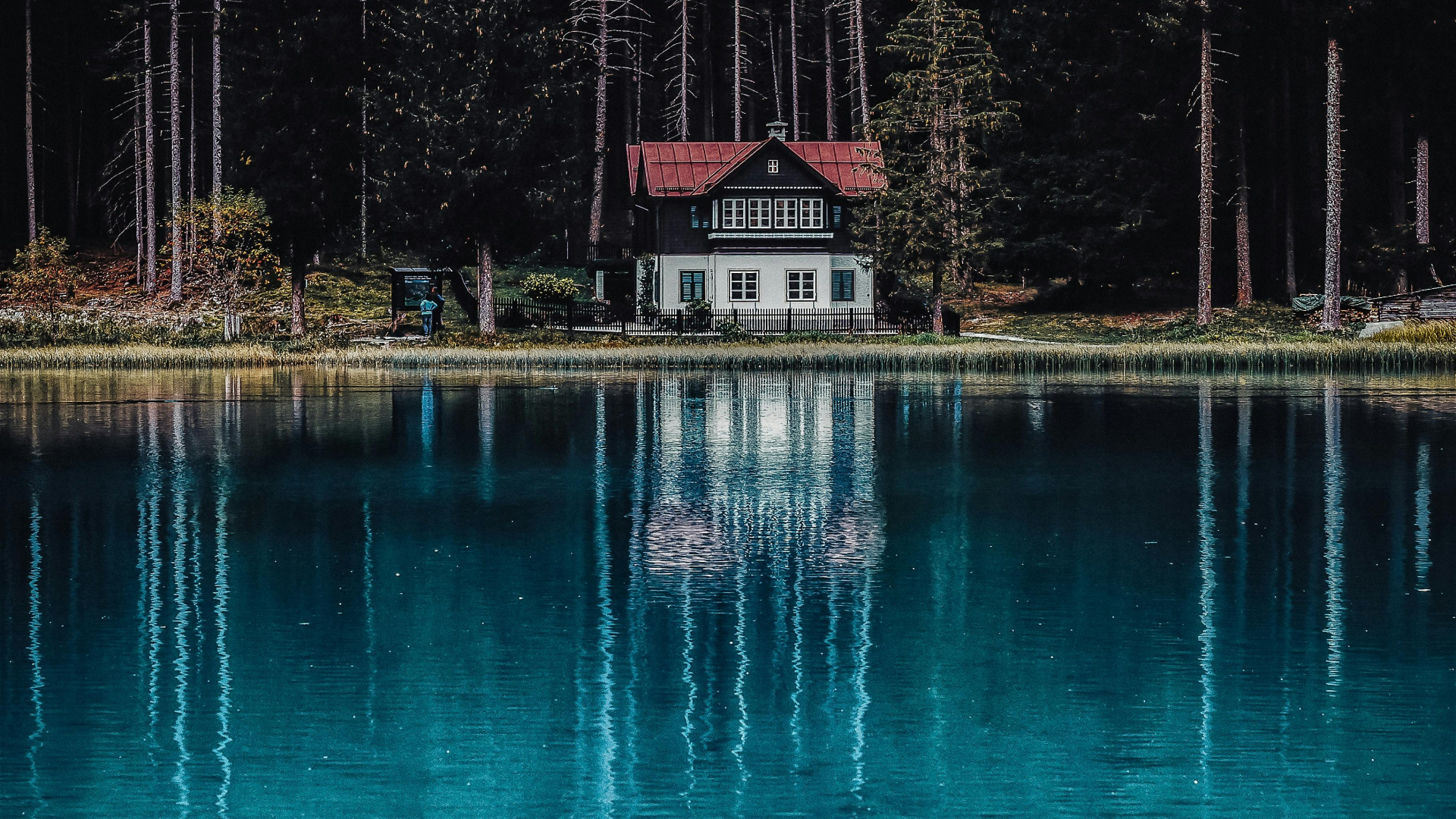 Обои пиксель, фрипик, портрет, синий, вода в разрешении 1920x1080