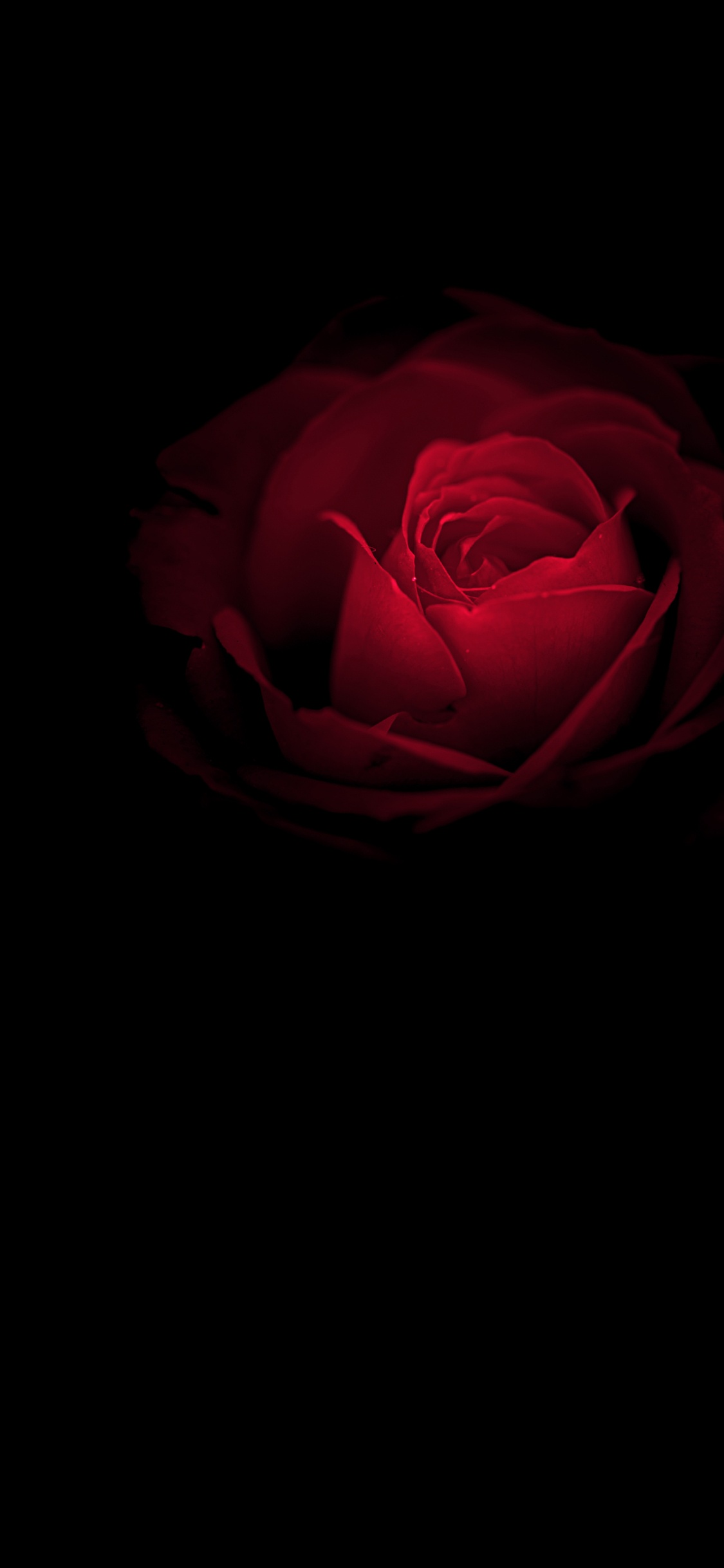 Обои Порше, Huawei, амолед, Huawei Mate, OLED в разрешении 1125x2436